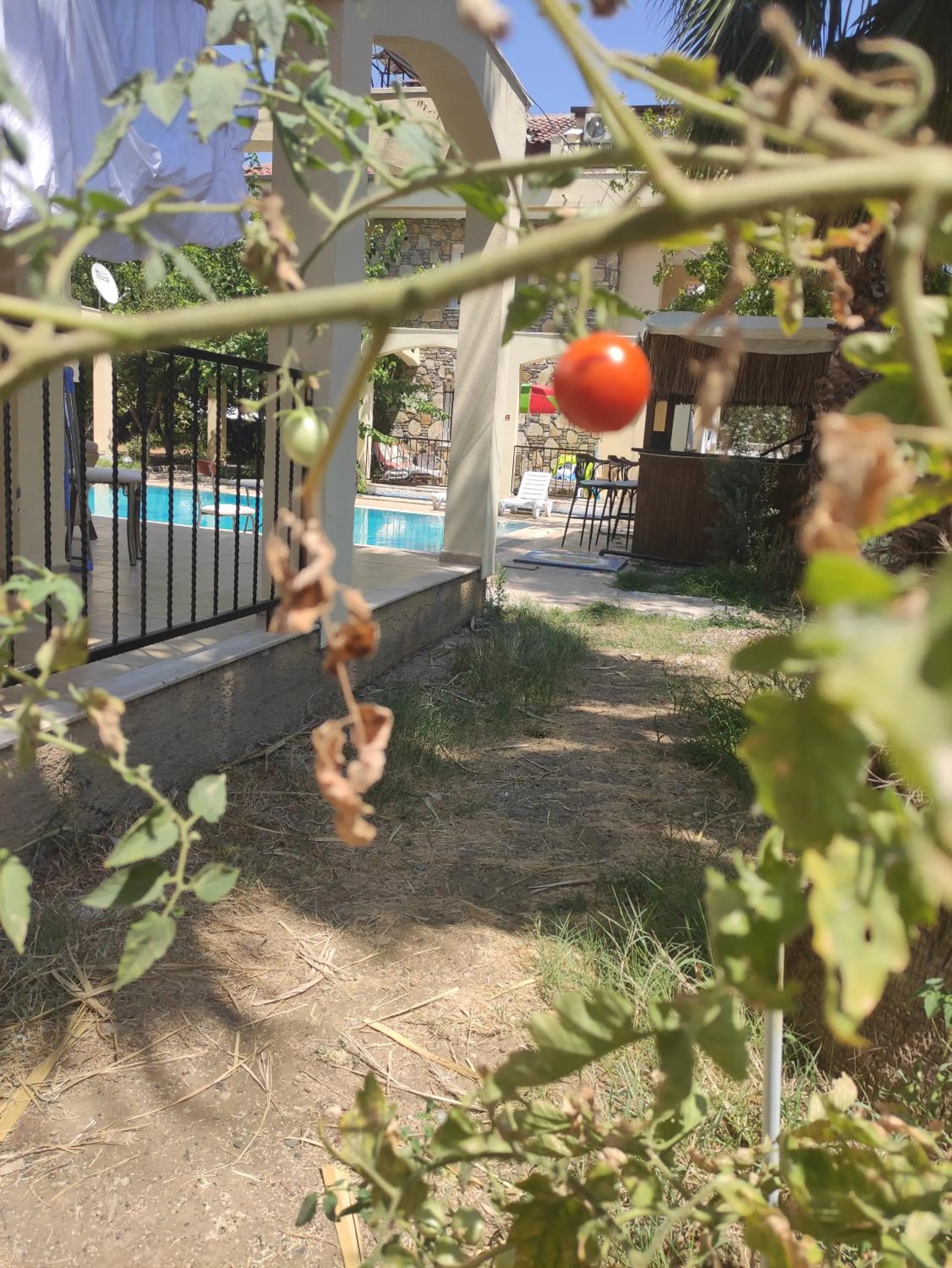 Children play ground in çileks apart otel