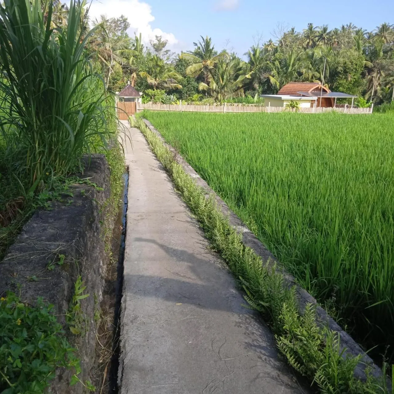 Natural landscape in Kubu Selat Villa and Glamping