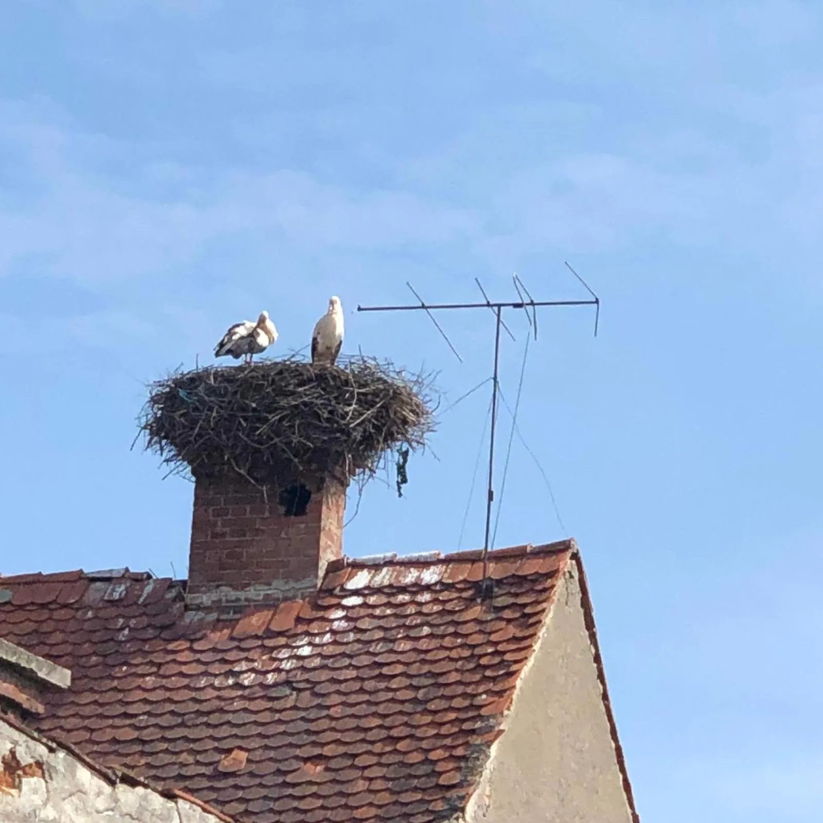 Property building in dasHaus