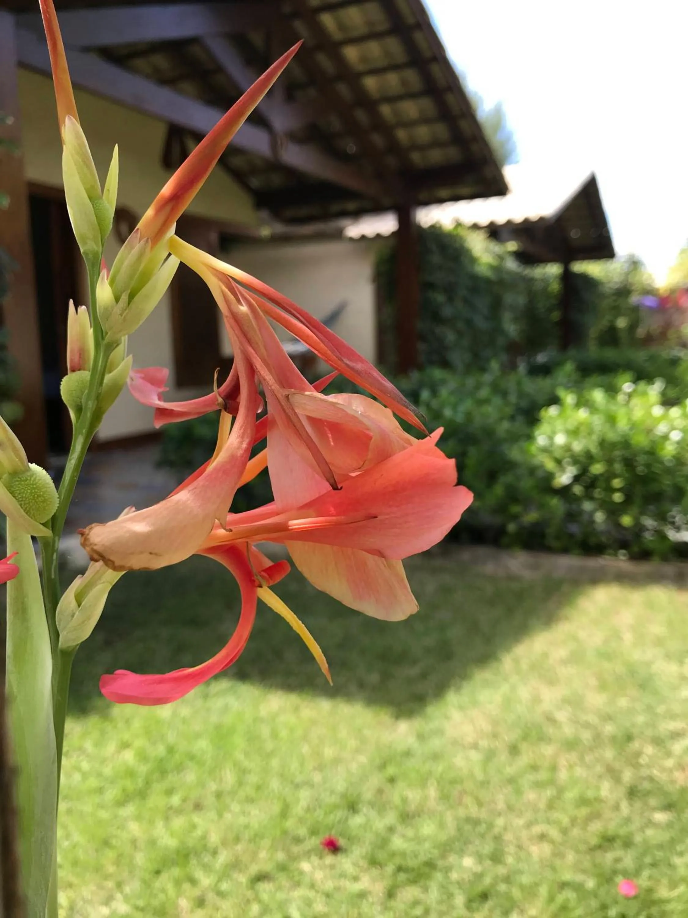 Property building in POUSADA RANCHO PARAISO