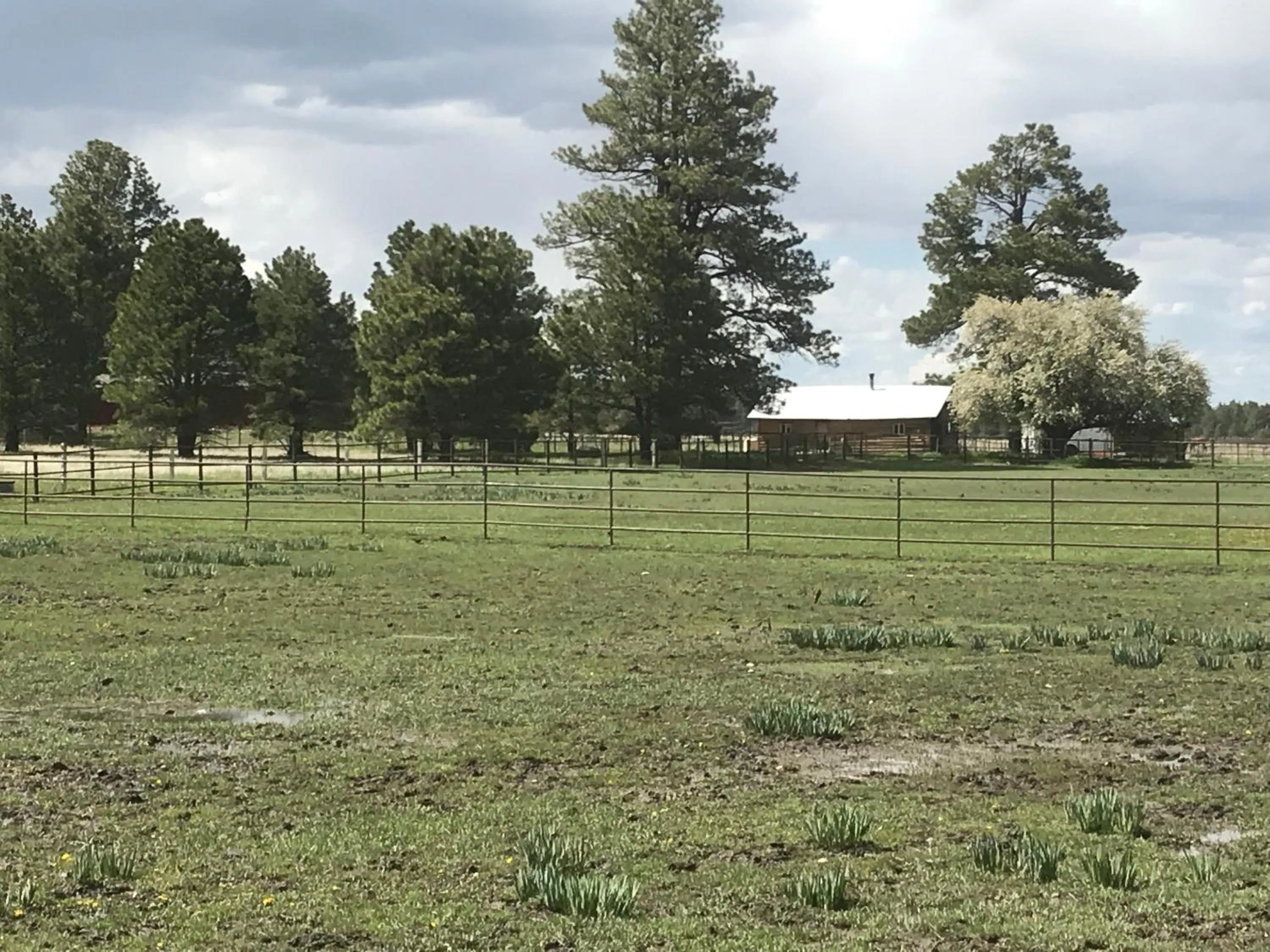 Natural landscape in Grand Canyon Cottage at Historic Wrigley Ranch with Horseback Riding & Hiking