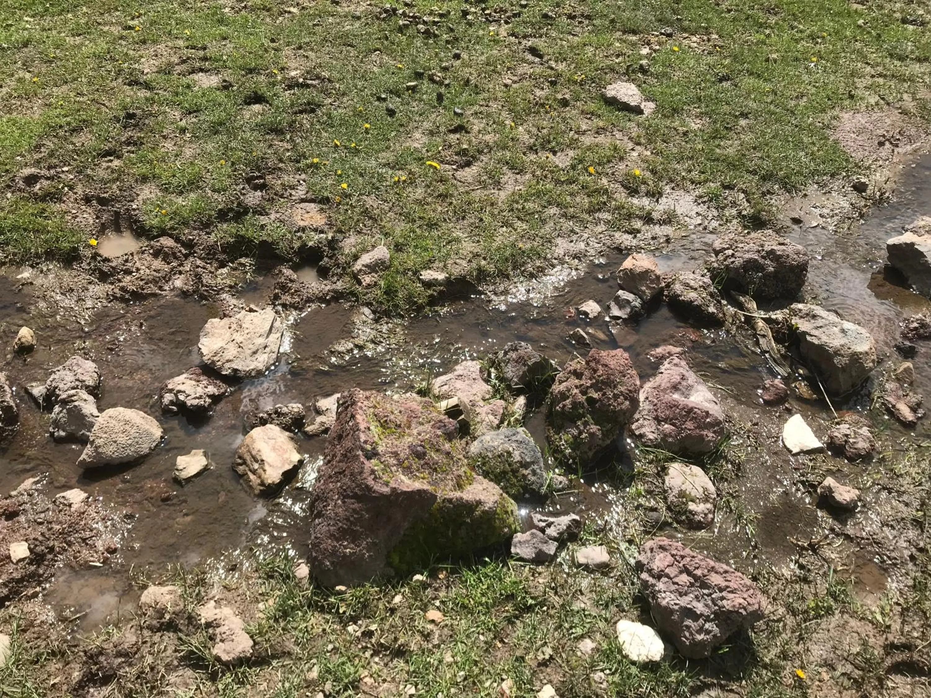 Natural landscape in Grand Canyon Cottage at Historic Wrigley Ranch with Horseback Riding & Hiking