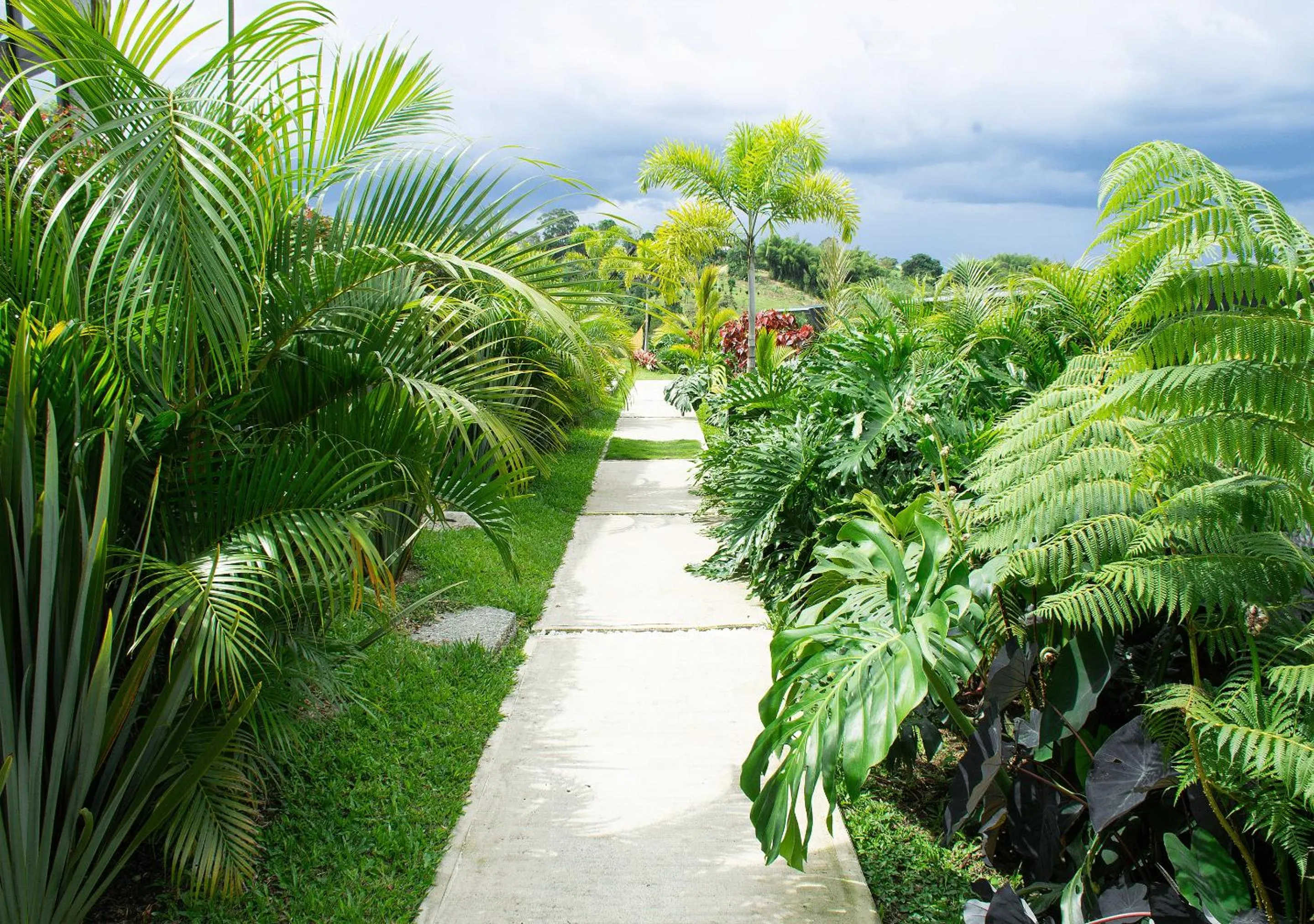 Garden in Panorama Pueblo Tapao