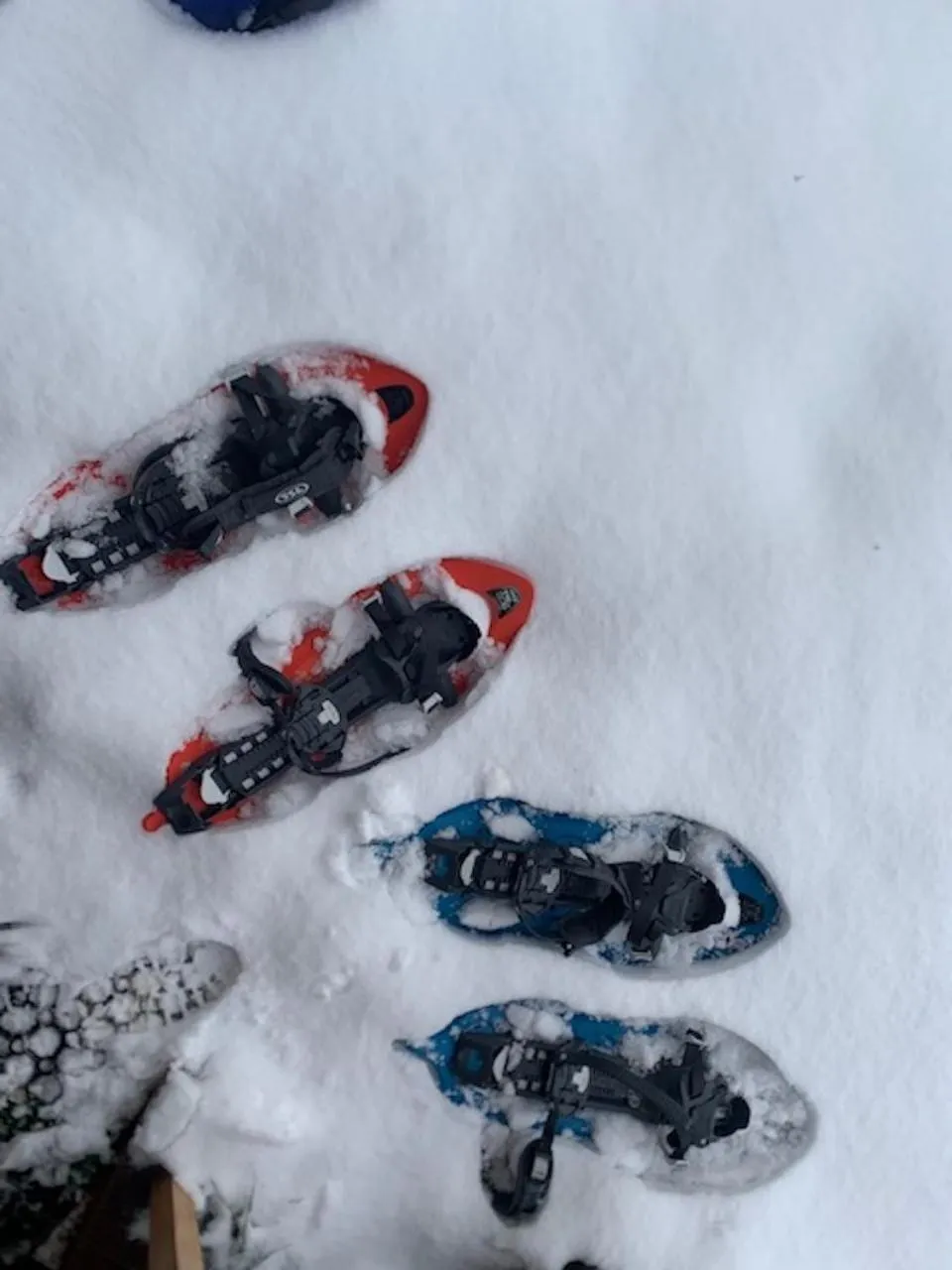 Sports in Gite Auberge Les Cascades