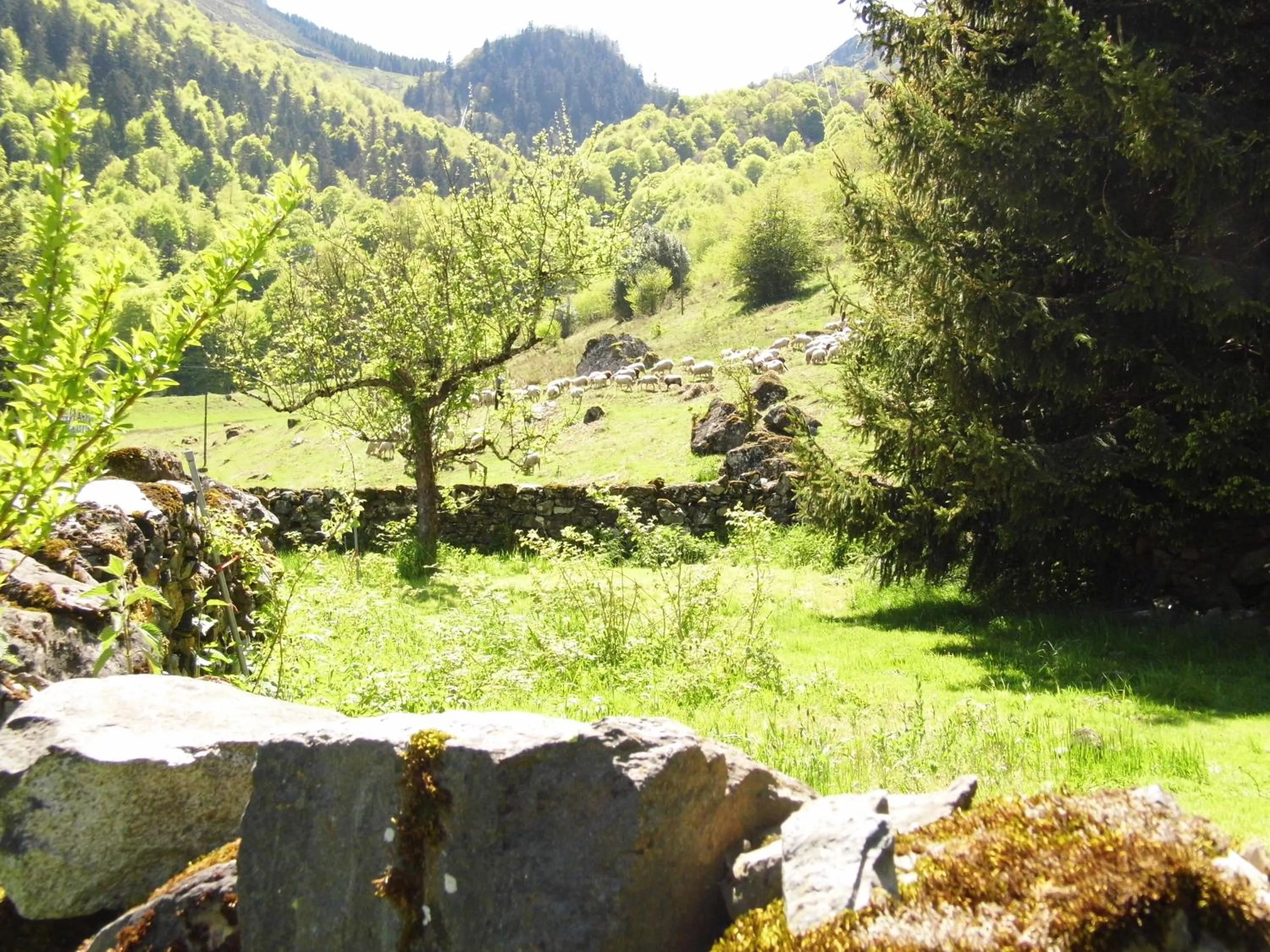 Day in Gite Auberge Les Cascades