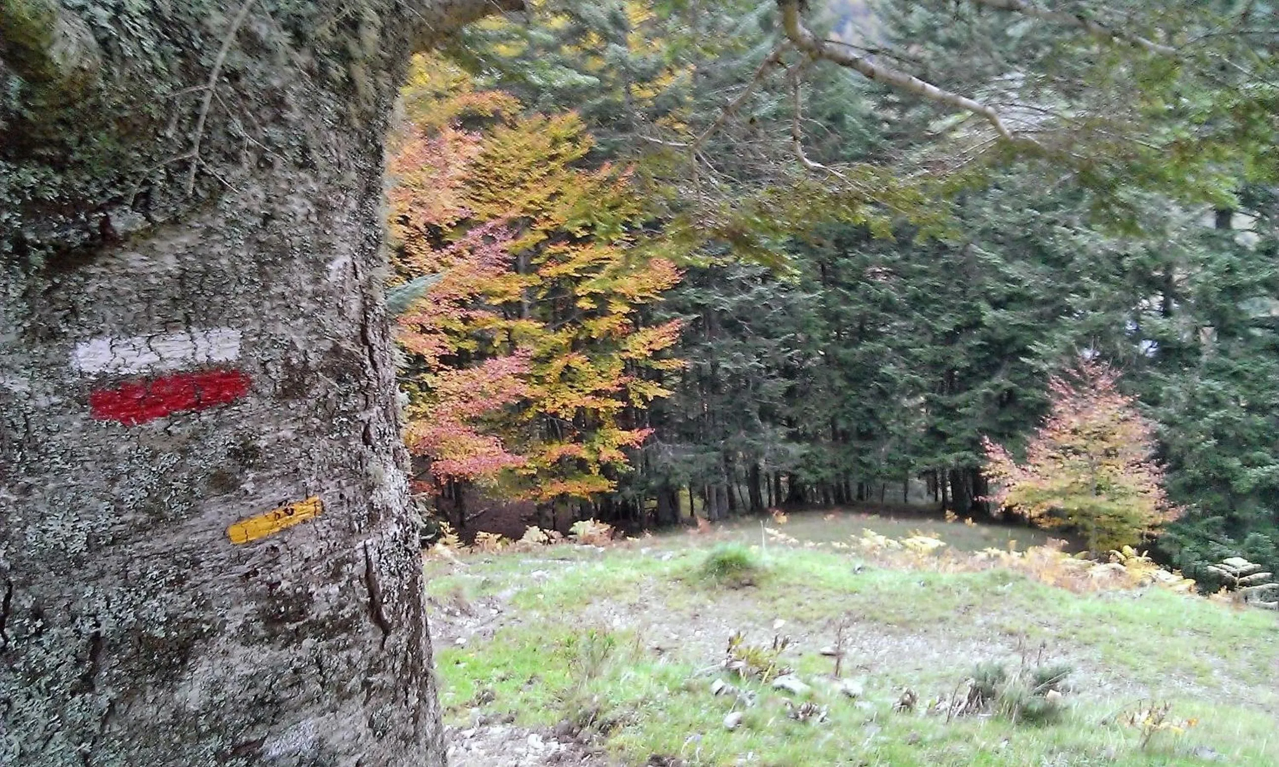 Natural landscape in Gite Auberge Les Cascades