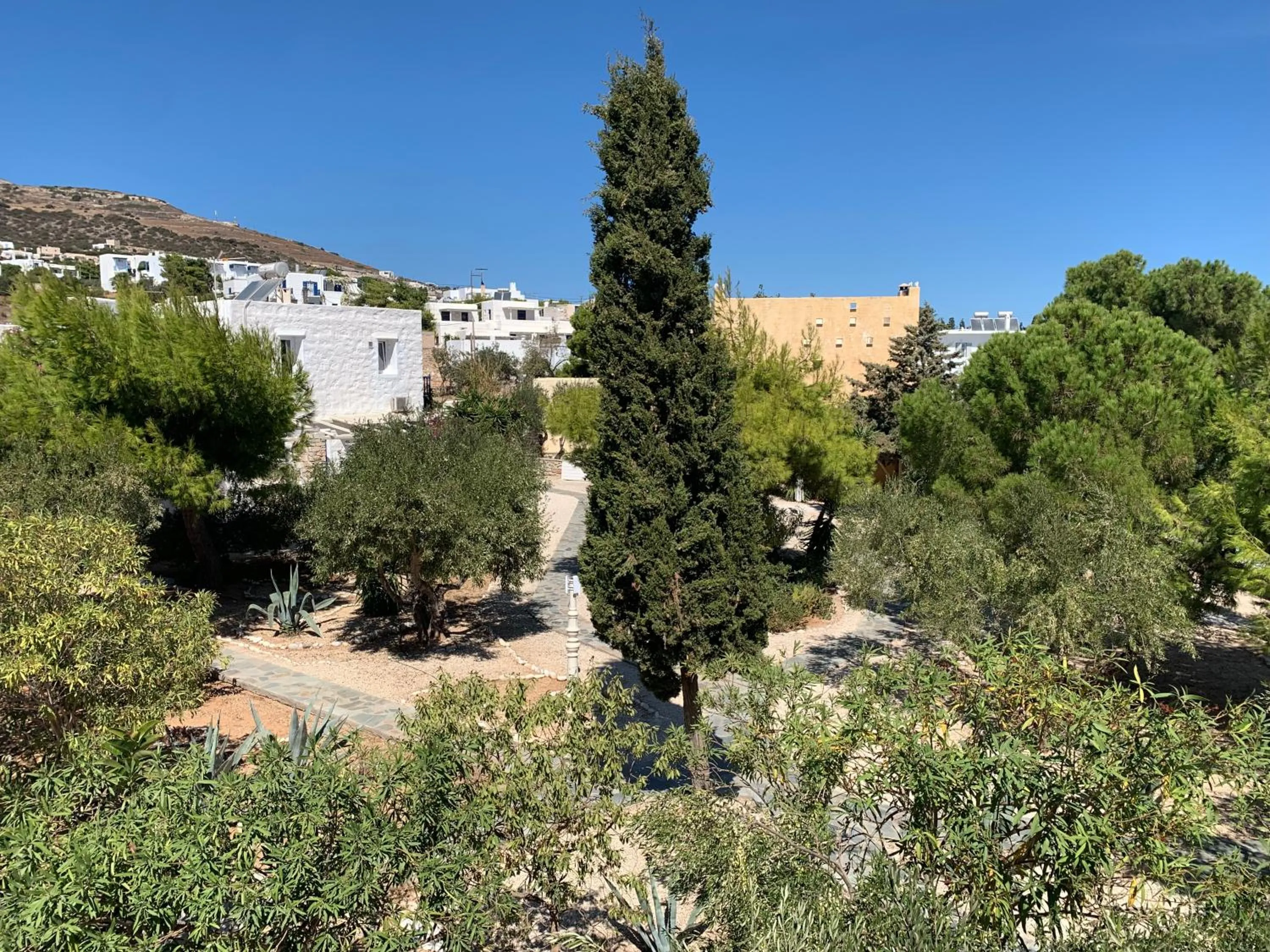 Natural landscape in Hotel Anezina