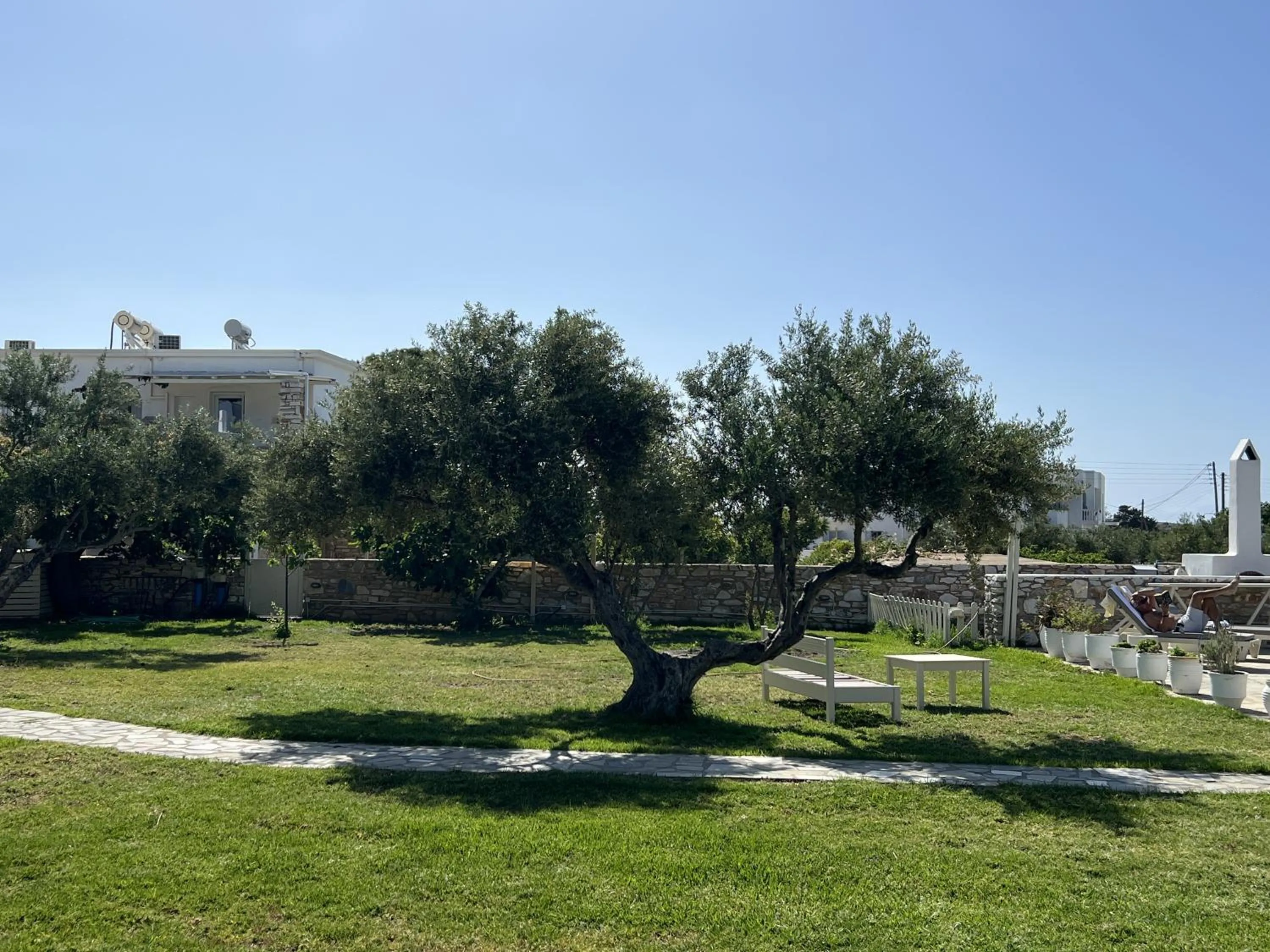 Garden in Hotel Anezina