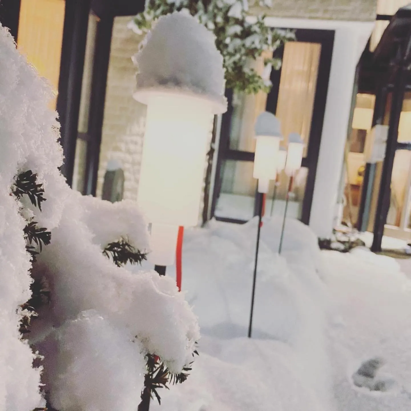 Winter in Safranberg Hotel & Sauna