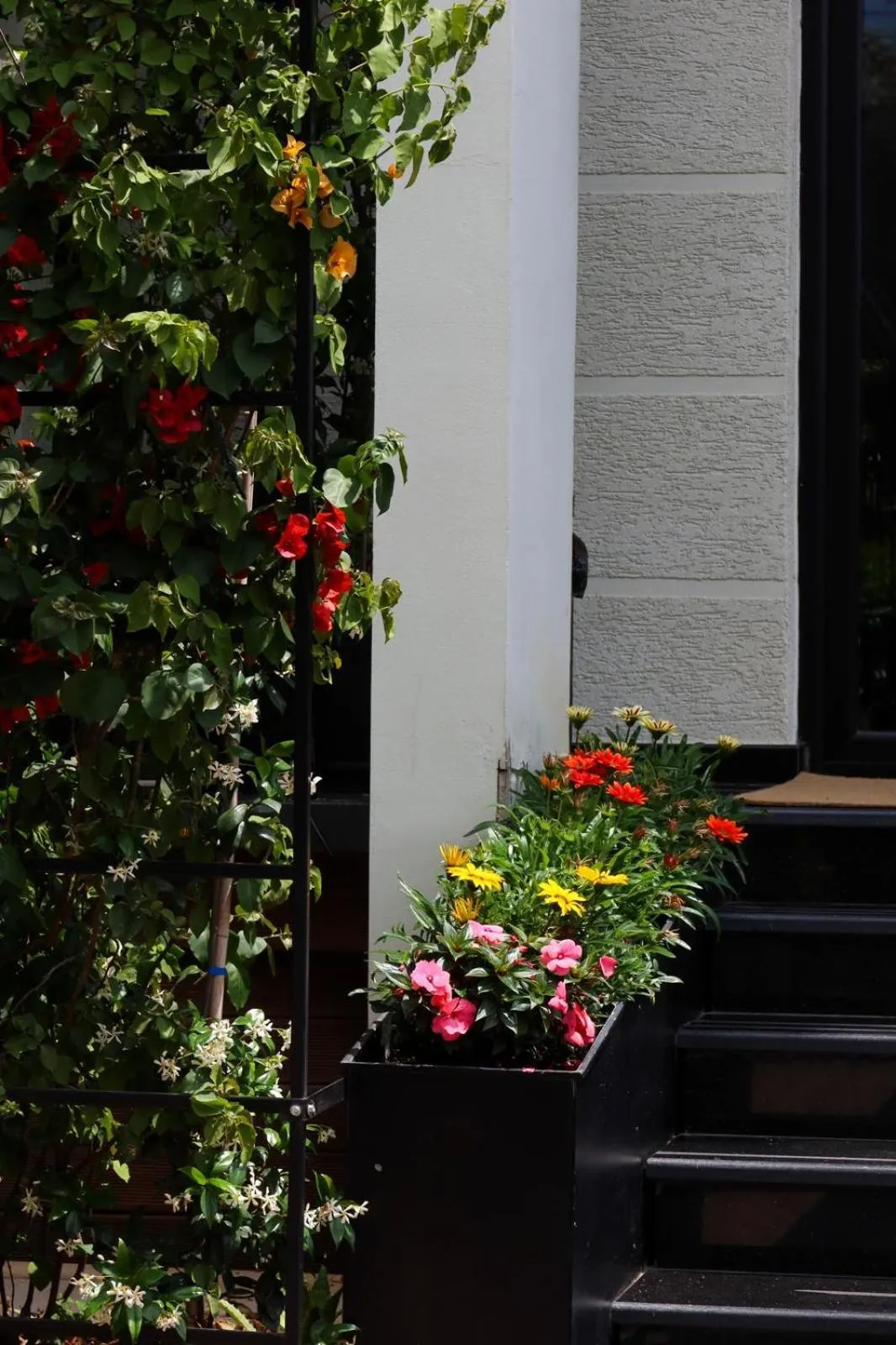 Property building in Hotel Bonsai