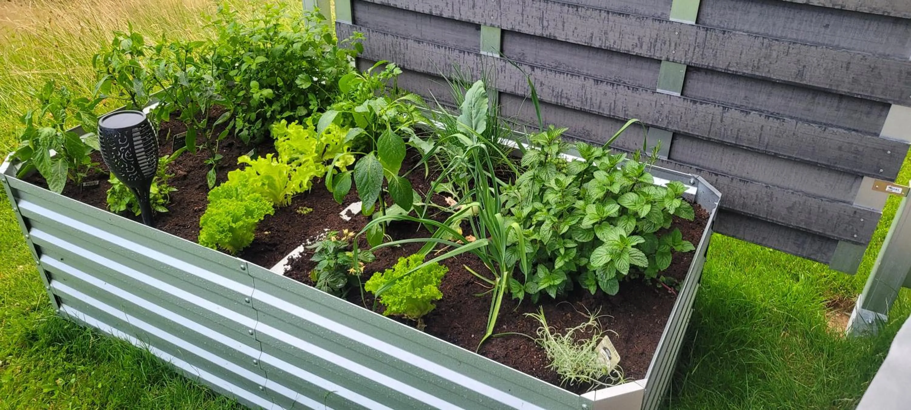 Garden in BayVista Lodge - Studios & Apartments