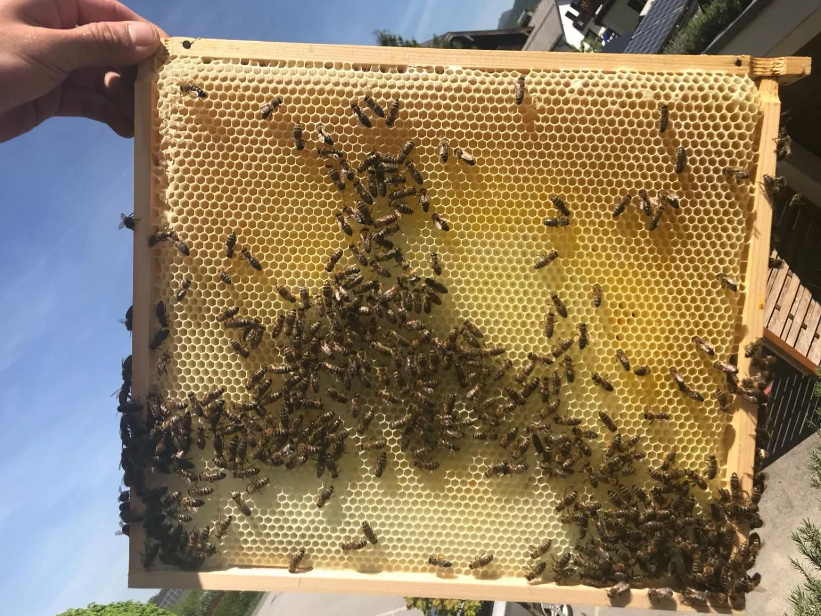 Breakfast in Hotel Kaiserhof