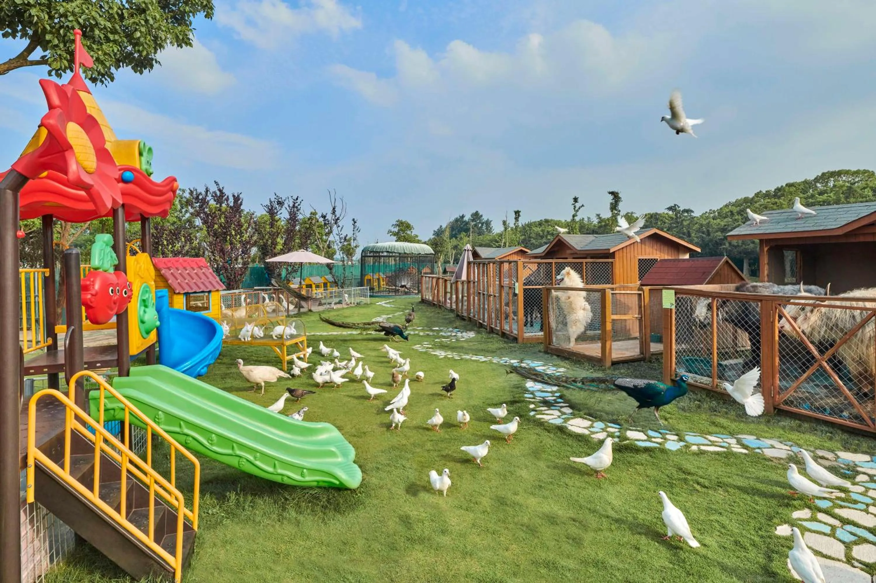 Garden in Hilton Shanghai Fengxian