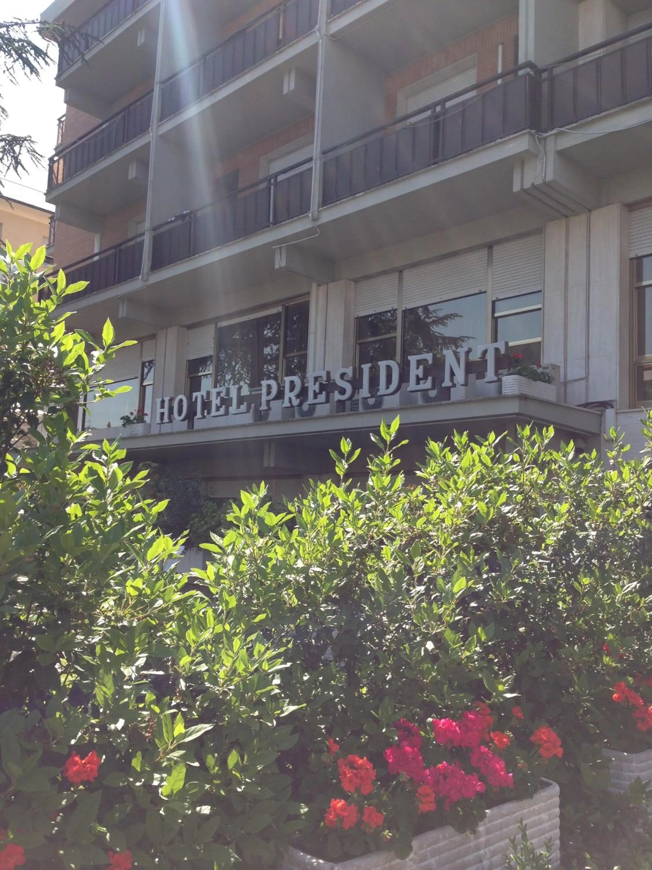 Garden in Hotel President