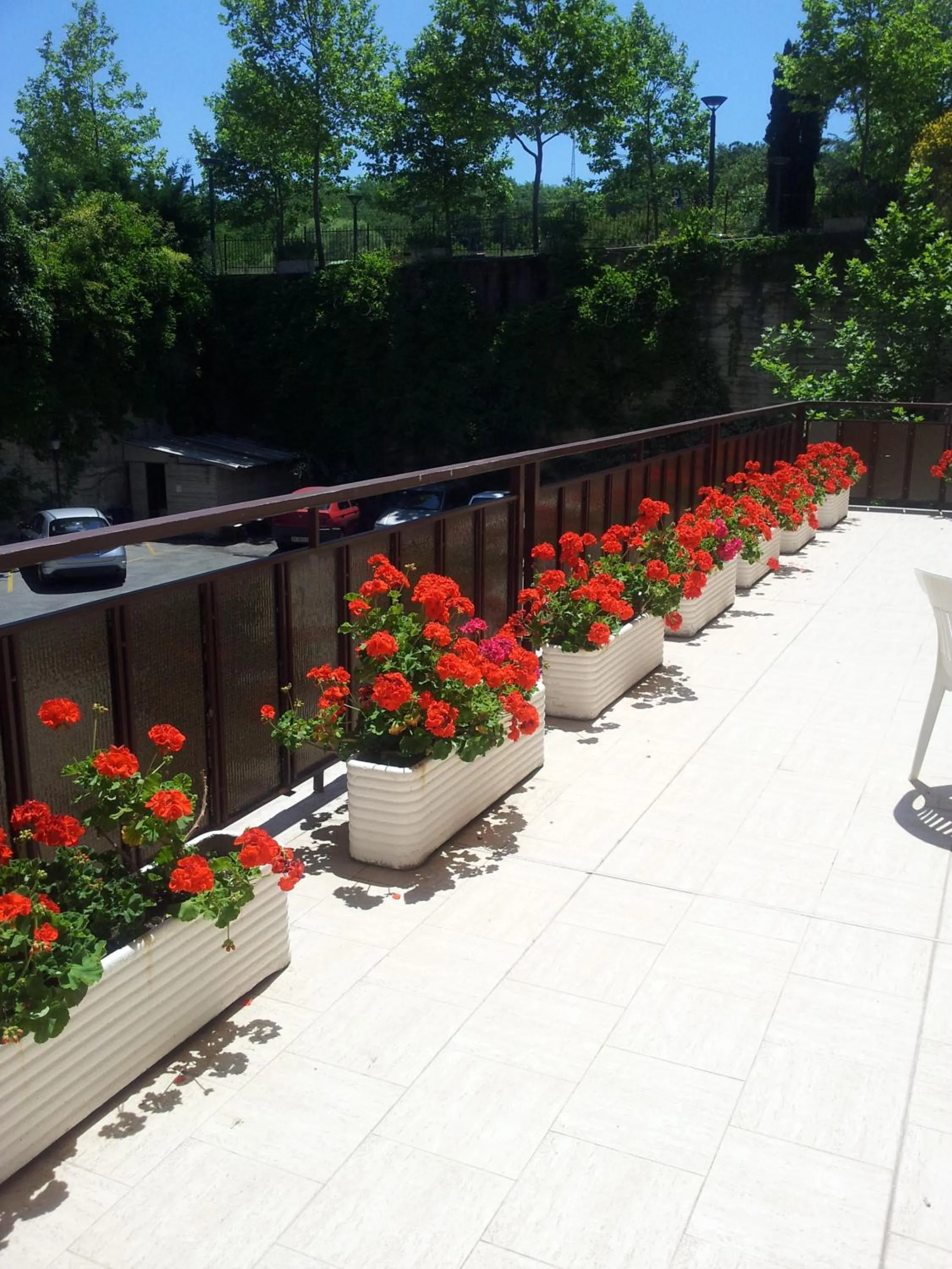 Balcony/Terrace in Hotel President