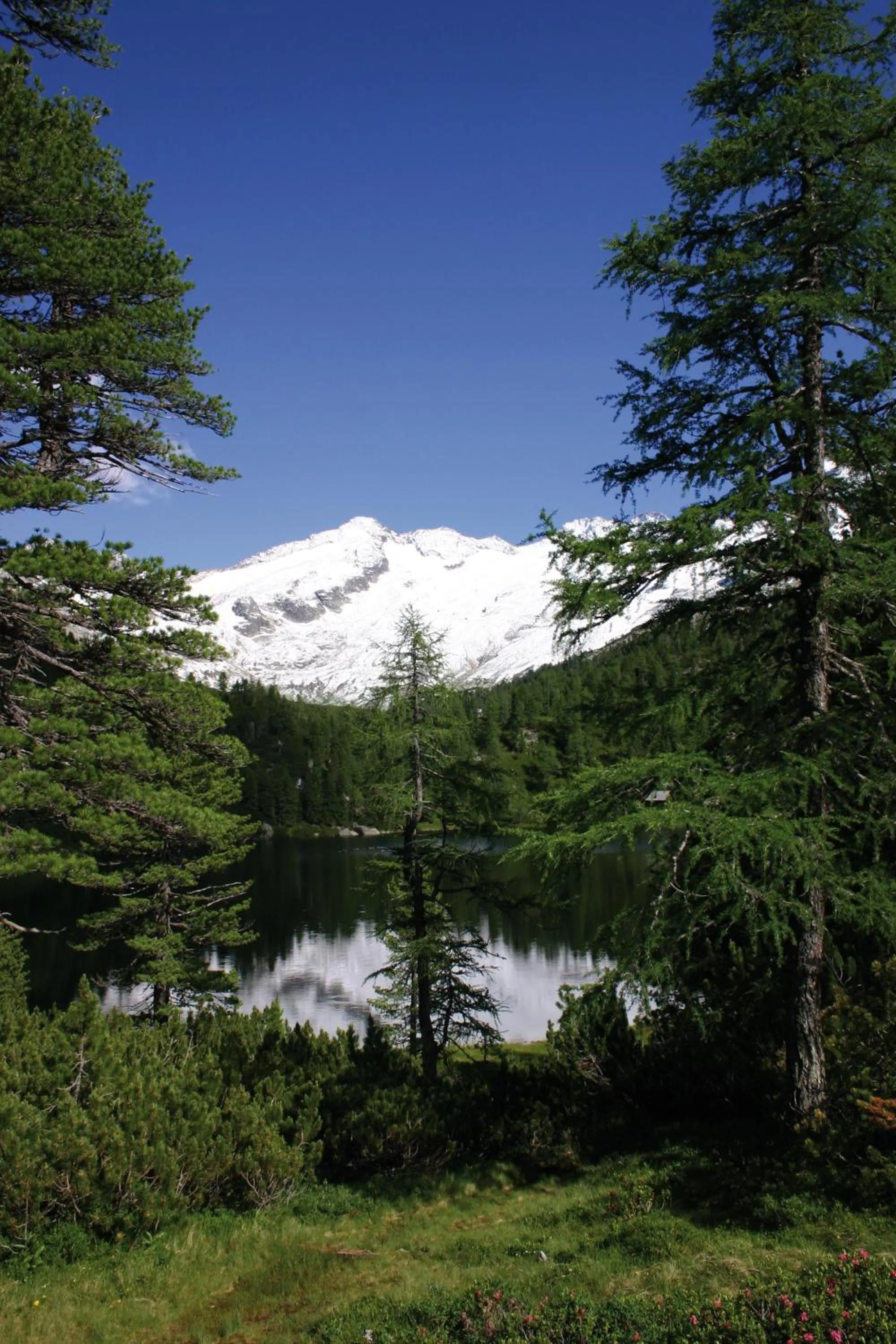 Villa Excelsior Hotel & Kurhaus