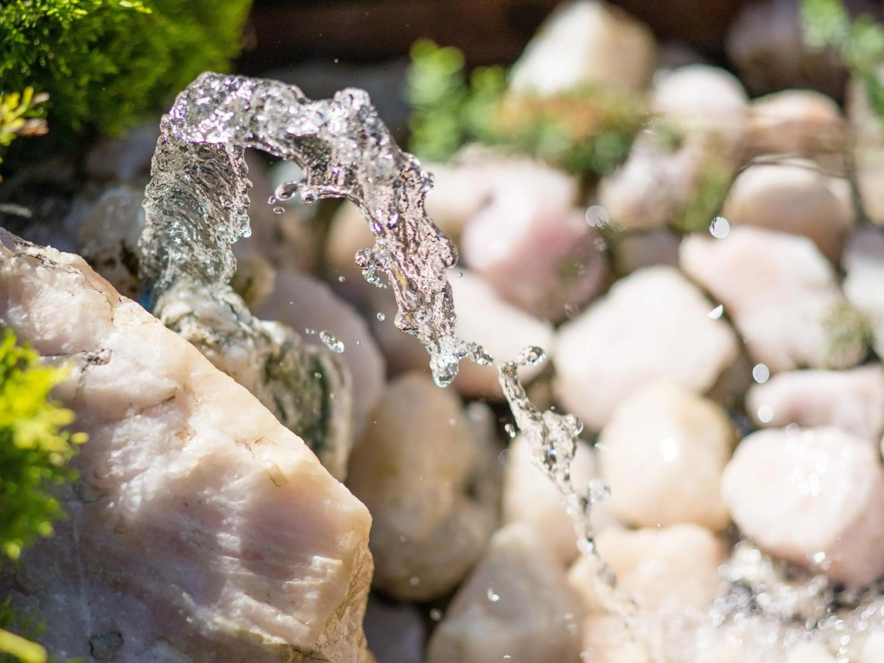 Facade/entrance in Hotel Alpenblick