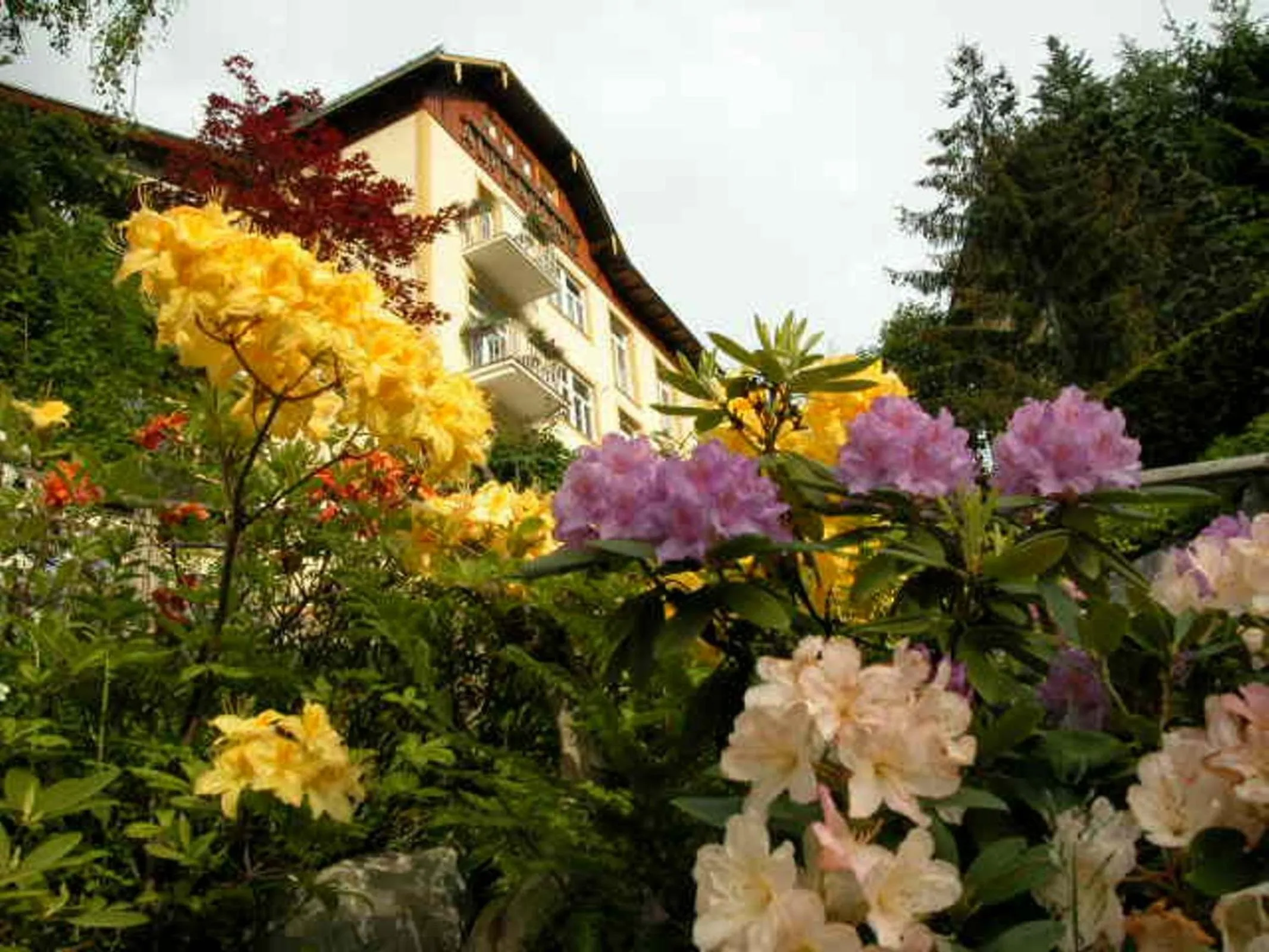 Garden in Hotel Alpenblick