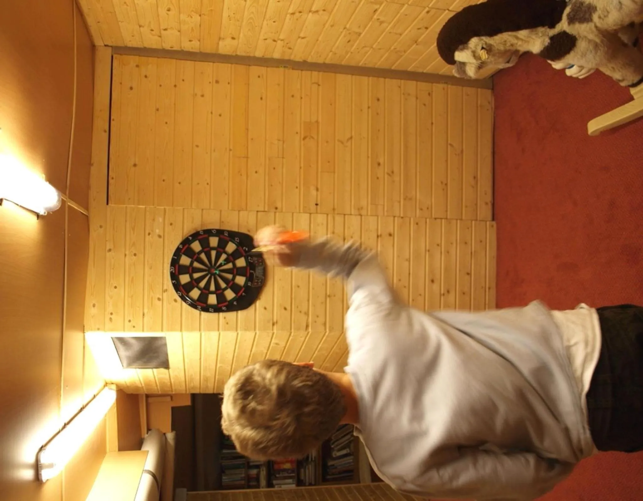 Darts in Hotel Alpenblick