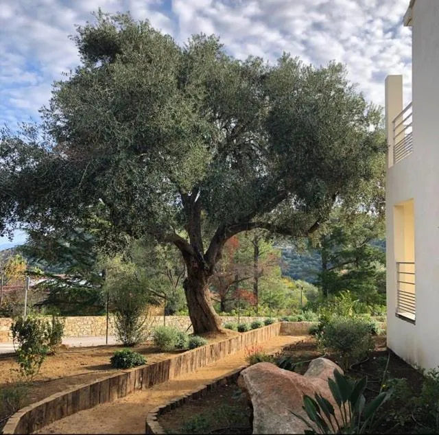 Résidence U Manellu