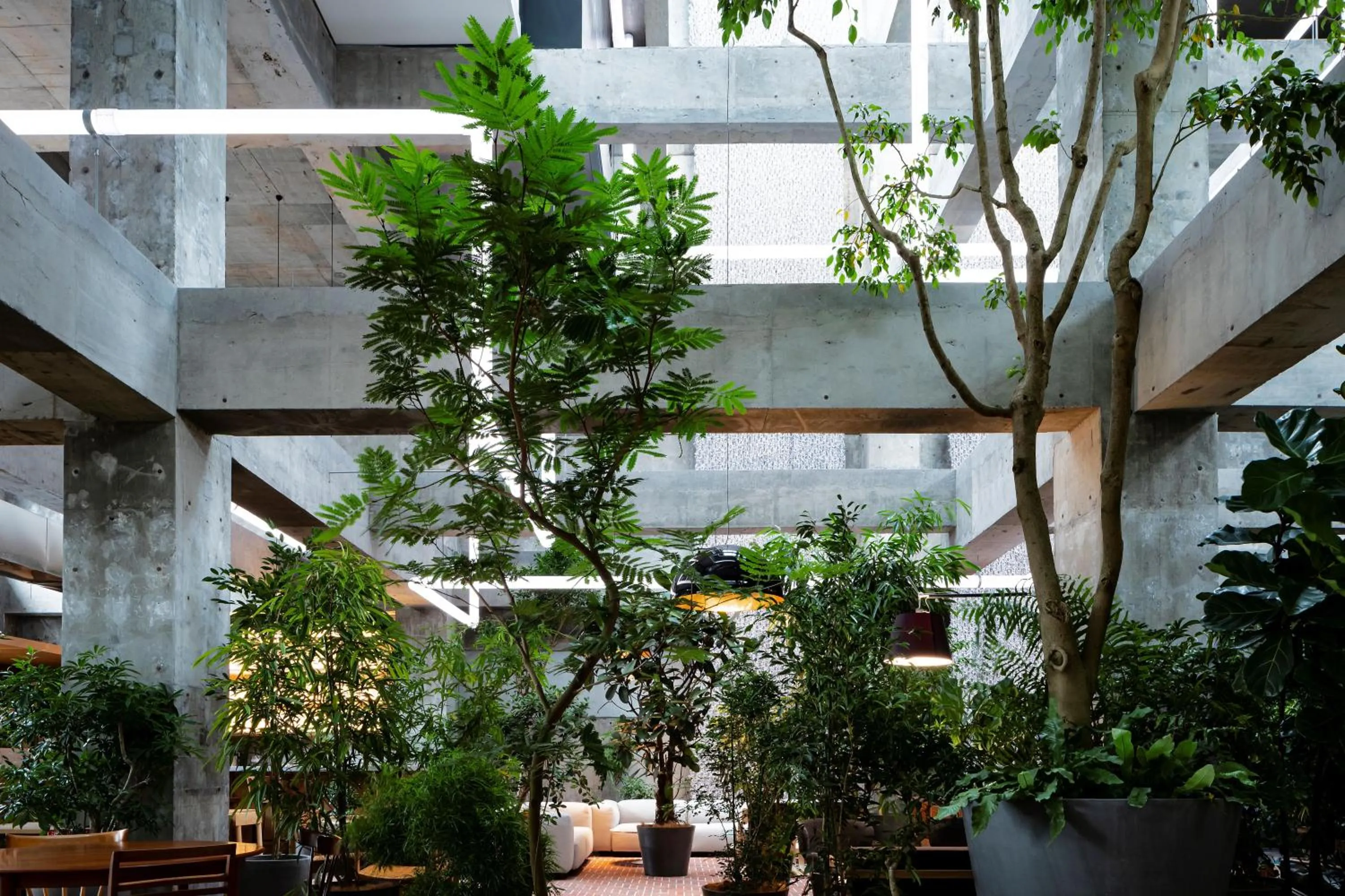 Lounge or bar in SHIROIYA HOTEL