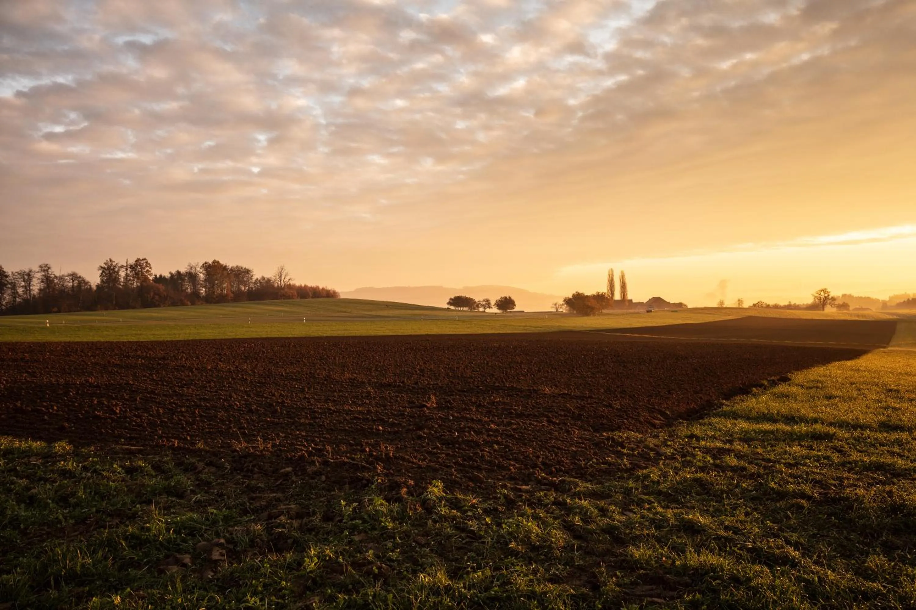 Neighbourhood in Macardo Premium B&B