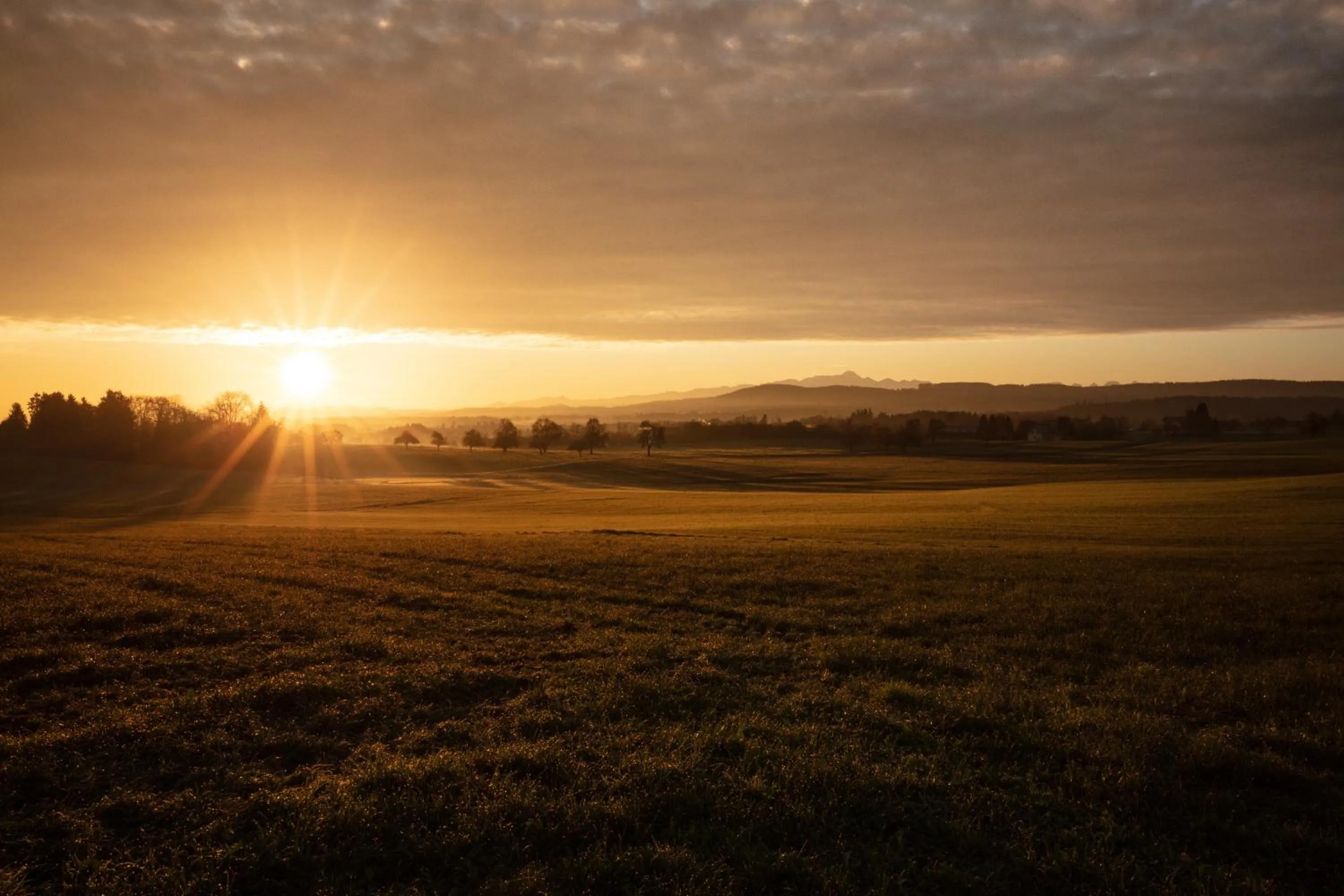 Natural landscape in Macardo Premium B&B