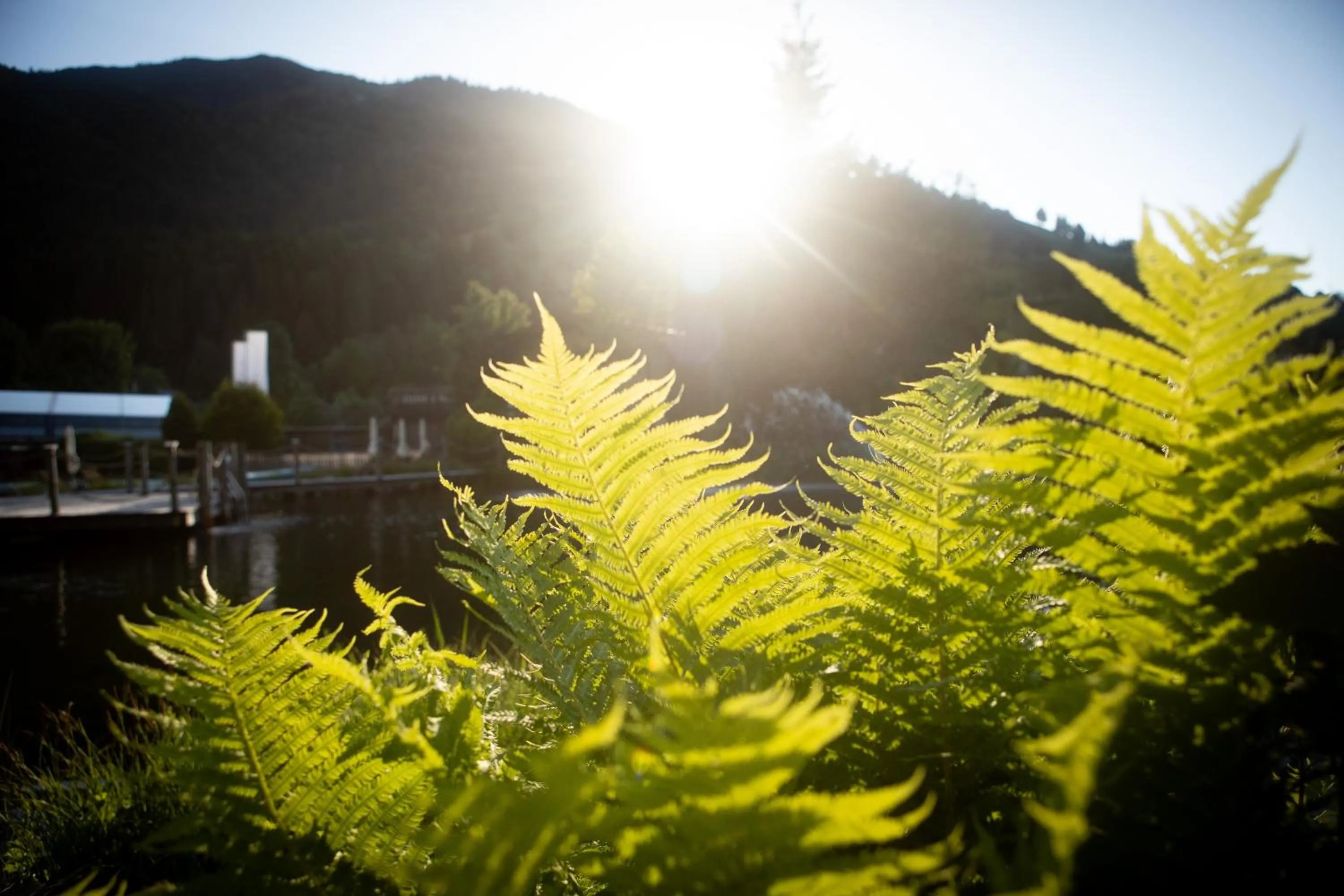 Natural landscape in Hotel Elisabeth, 4 Sterne Superior