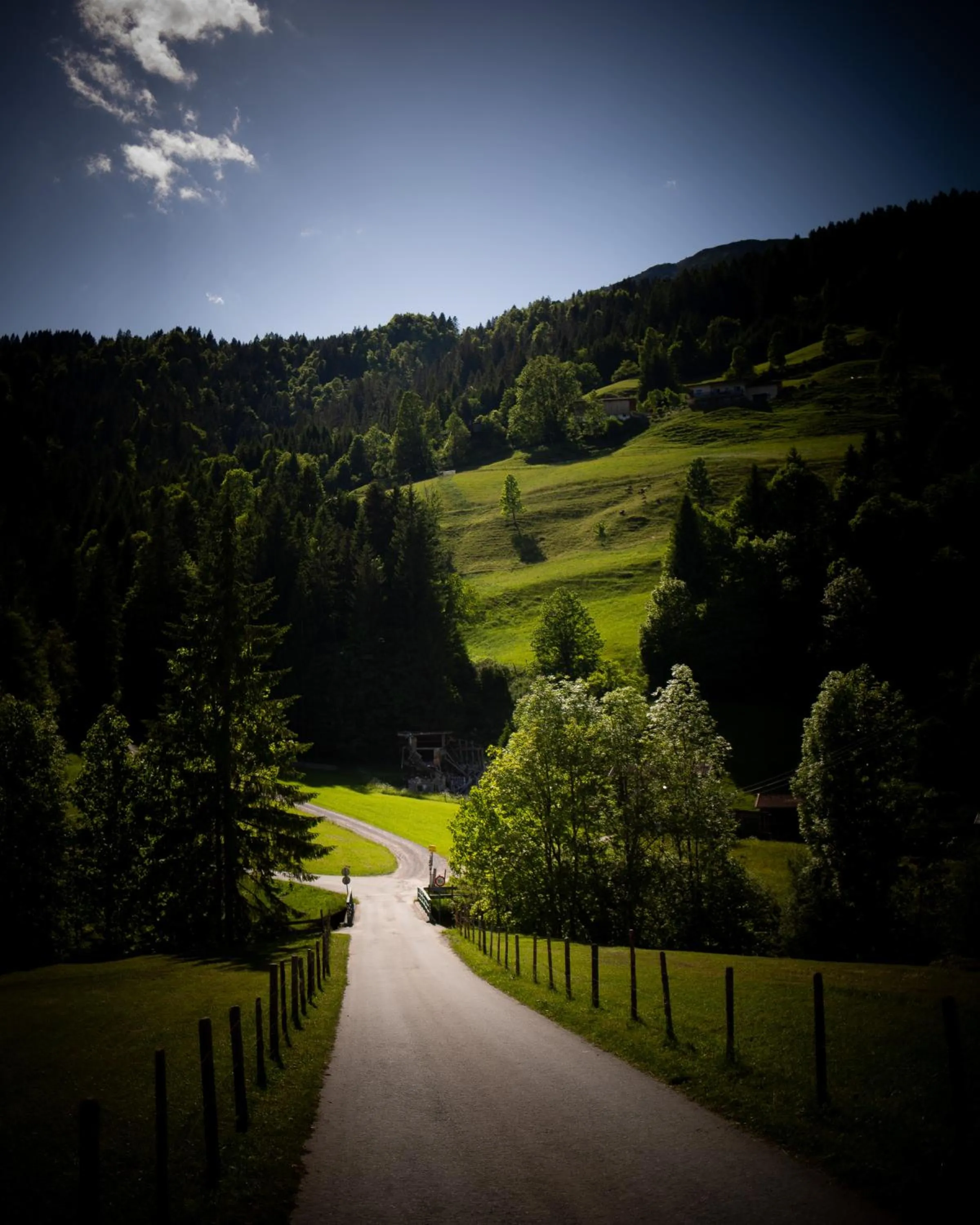 Natural landscape in Hotel Elisabeth, 4 Sterne Superior