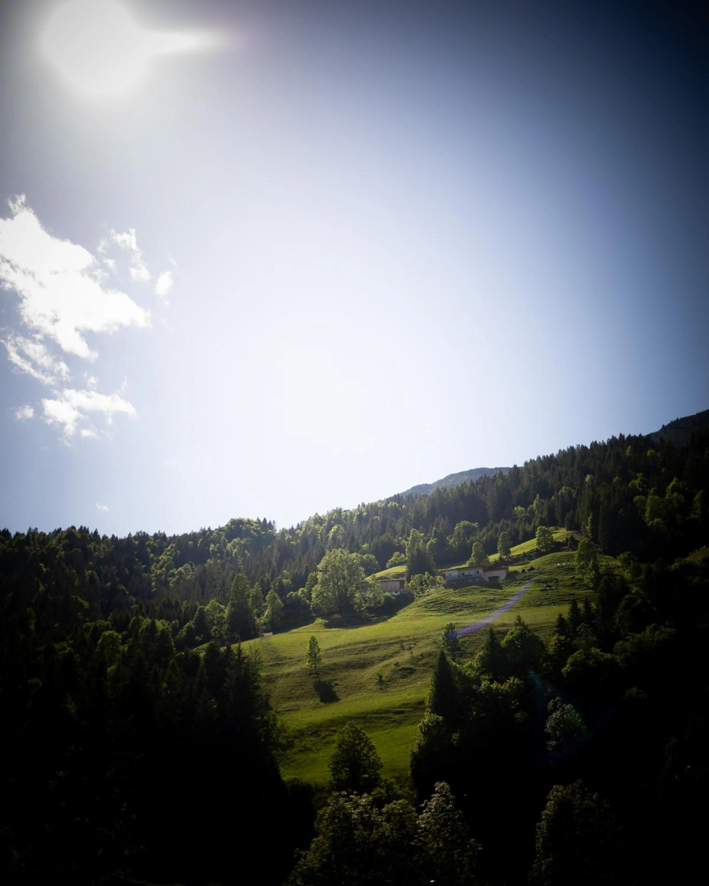 Natural landscape in Hotel Elisabeth, 4 Sterne Superior