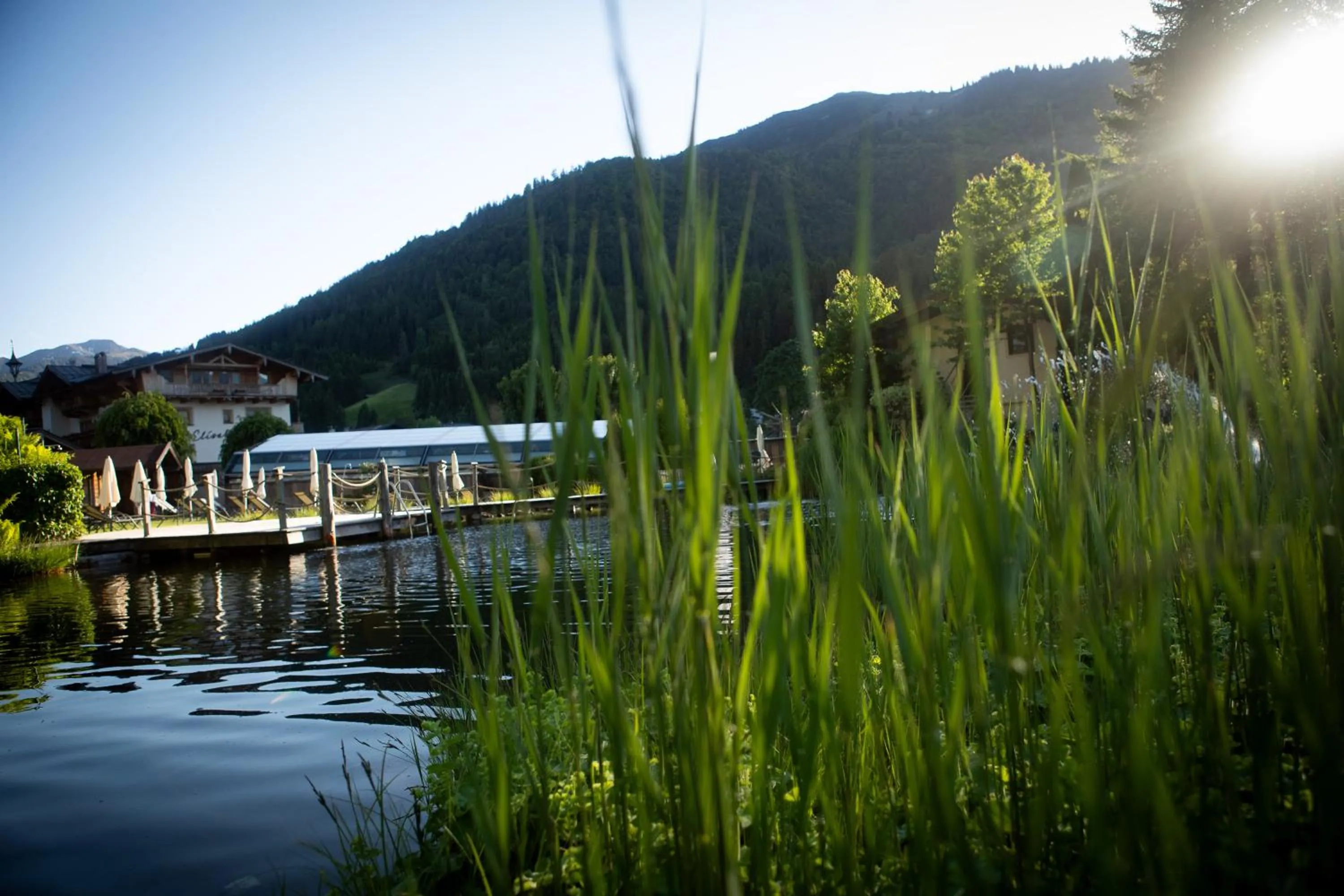 Natural landscape in Hotel Elisabeth, 4 Sterne Superior