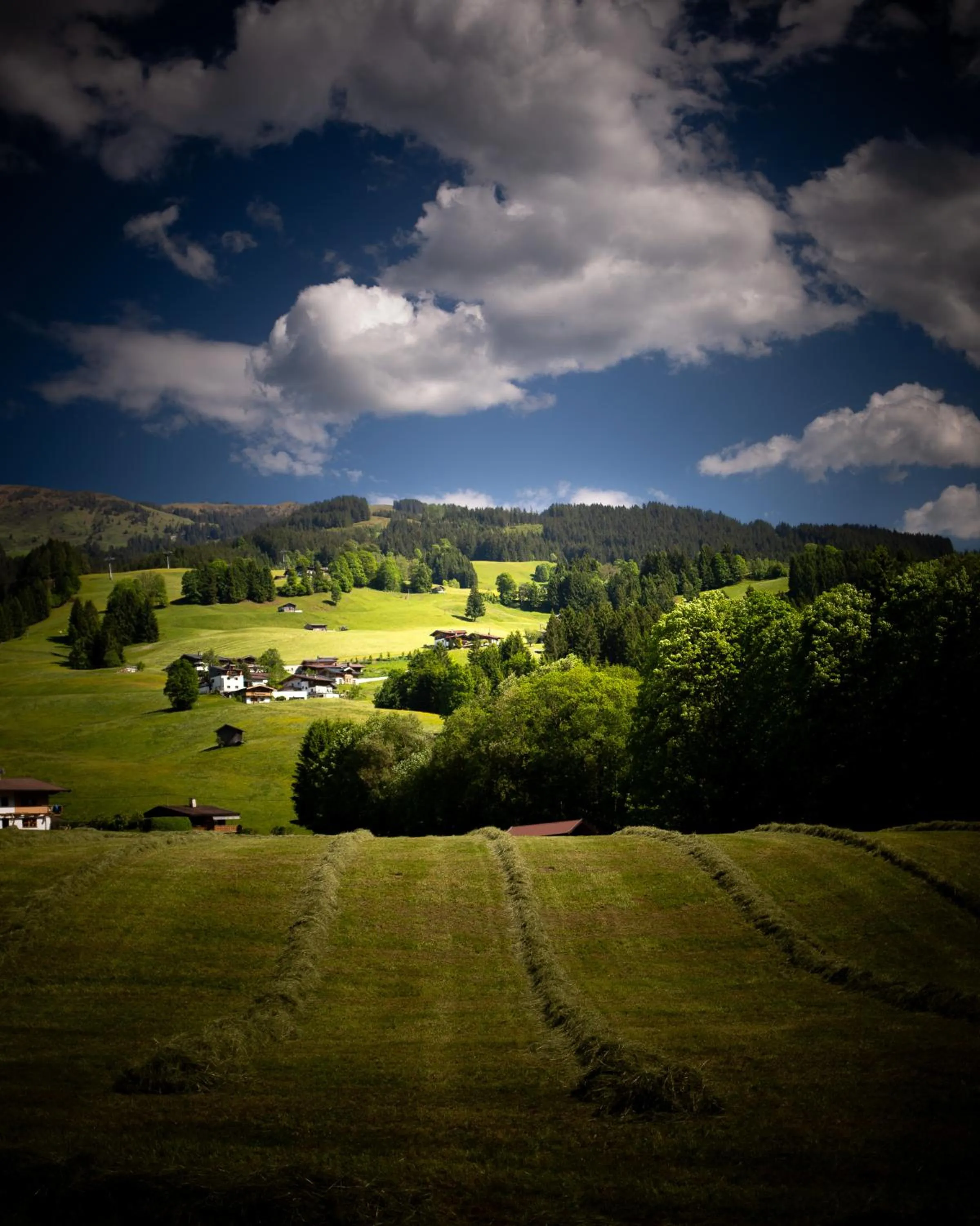 Natural landscape in Hotel Elisabeth, 4 Sterne Superior