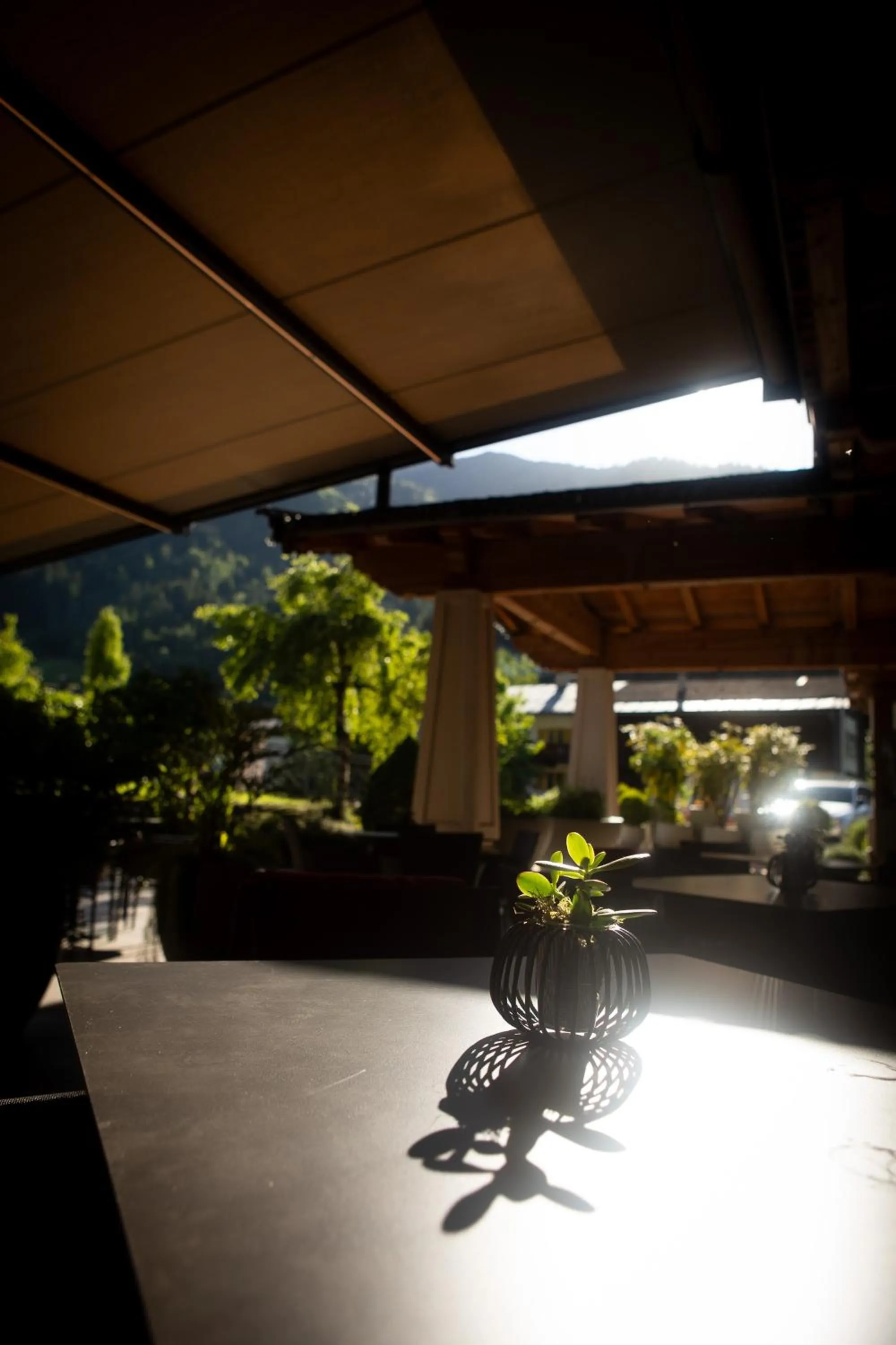 Balcony/Terrace in Hotel Elisabeth, 4 Sterne Superior