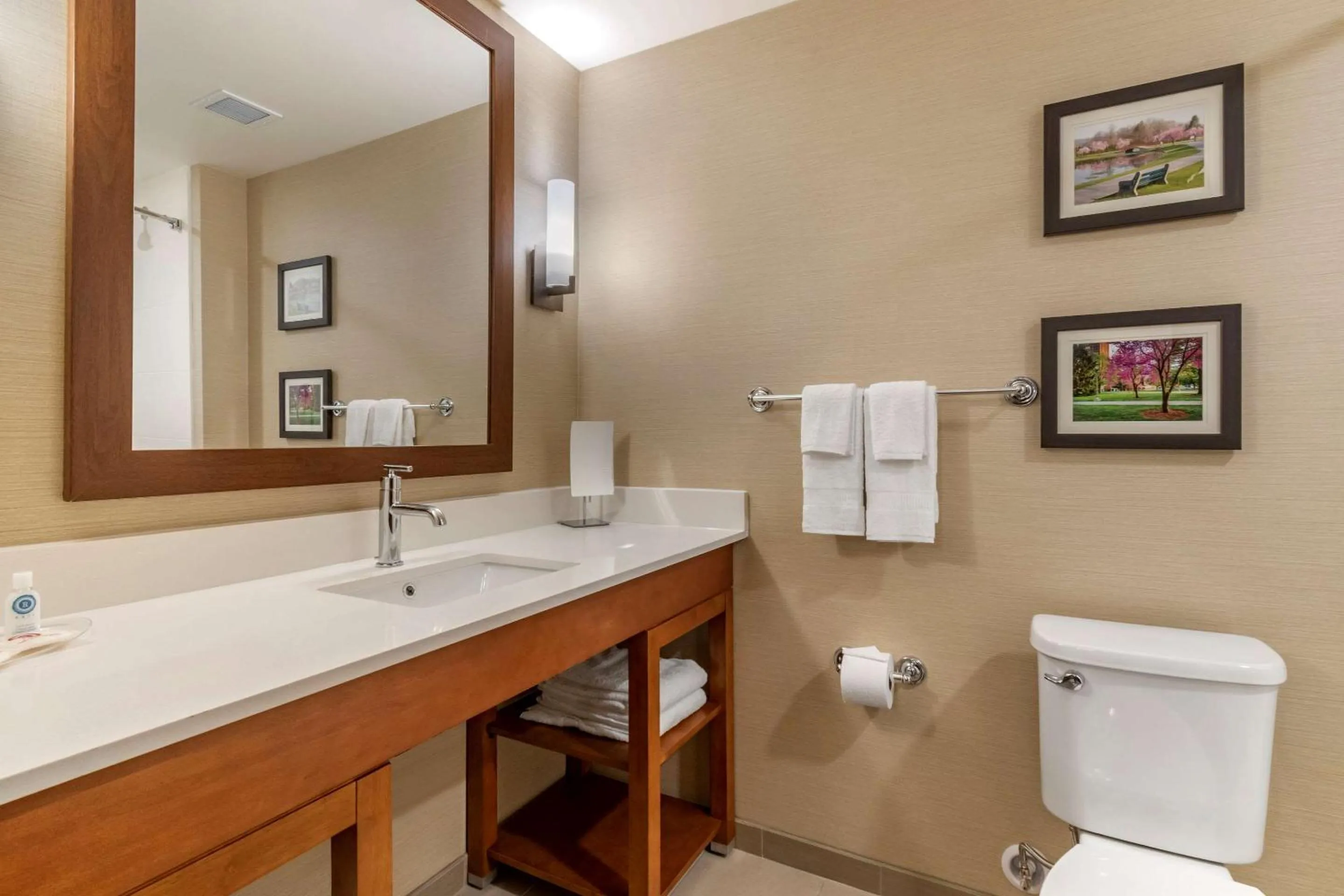 Bathroom in Comfort Suites Camp Hill-Harrisburg West