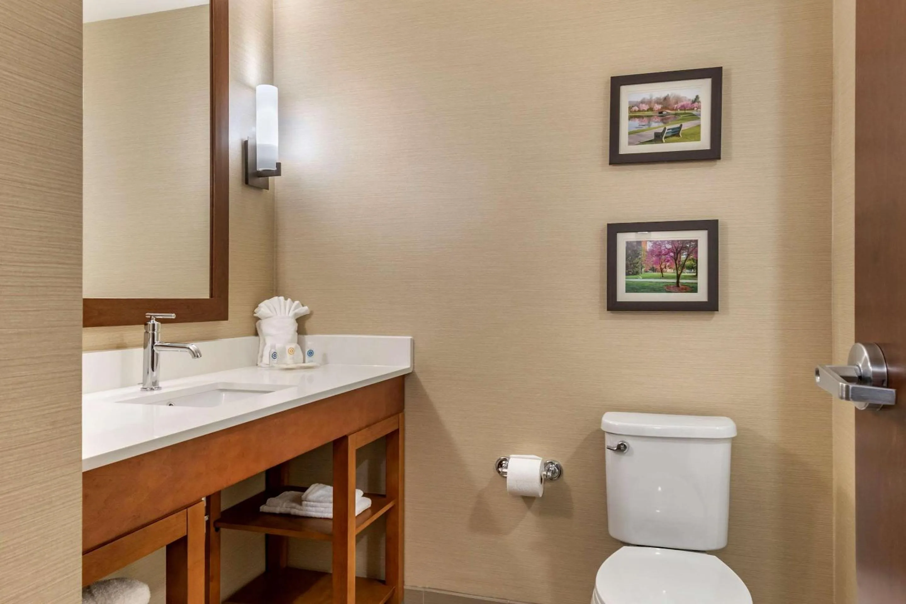 Bathroom in Comfort Suites Camp Hill-Harrisburg West