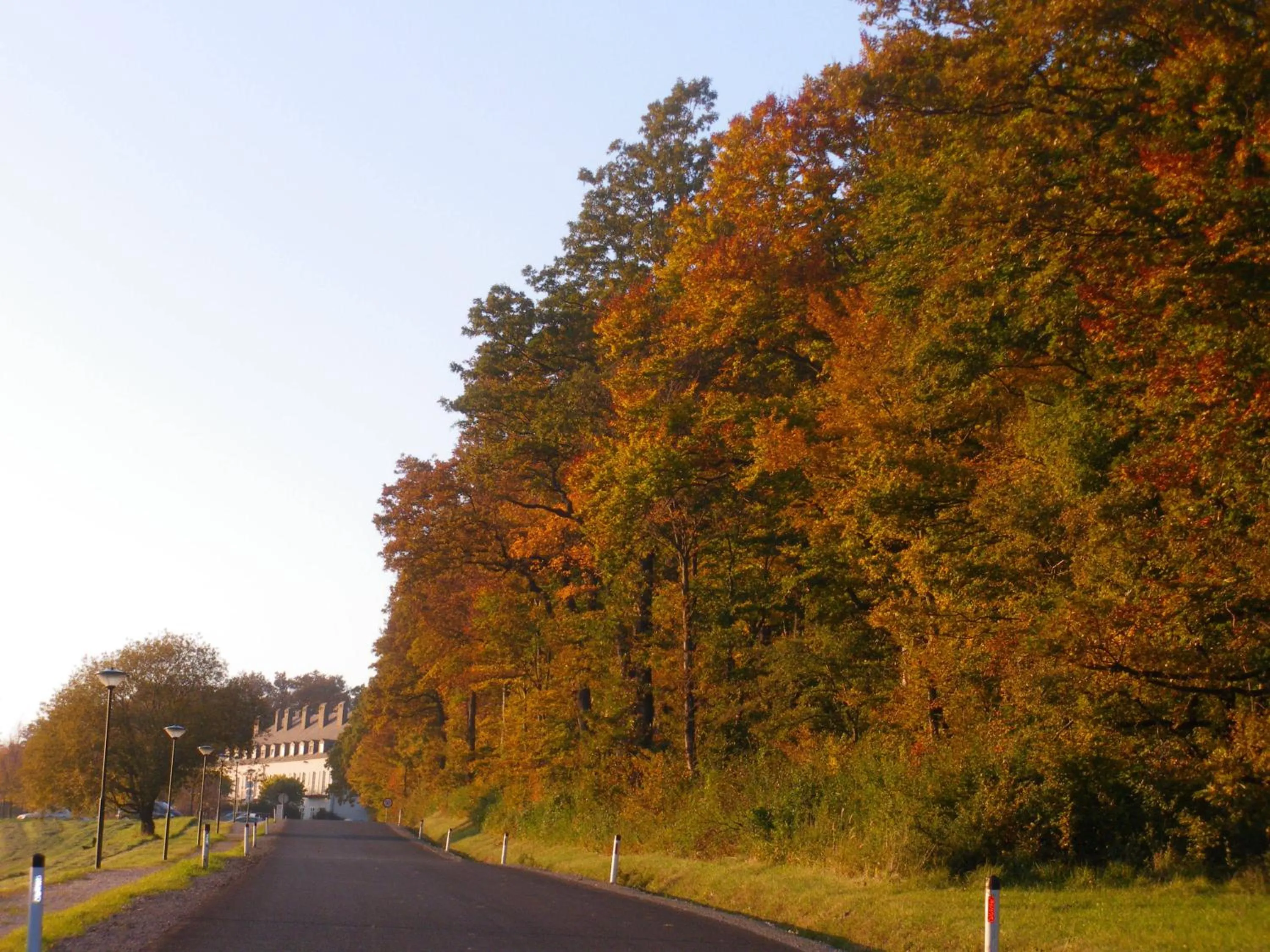 Area and facilities in Berghotel Tulbingerkogel