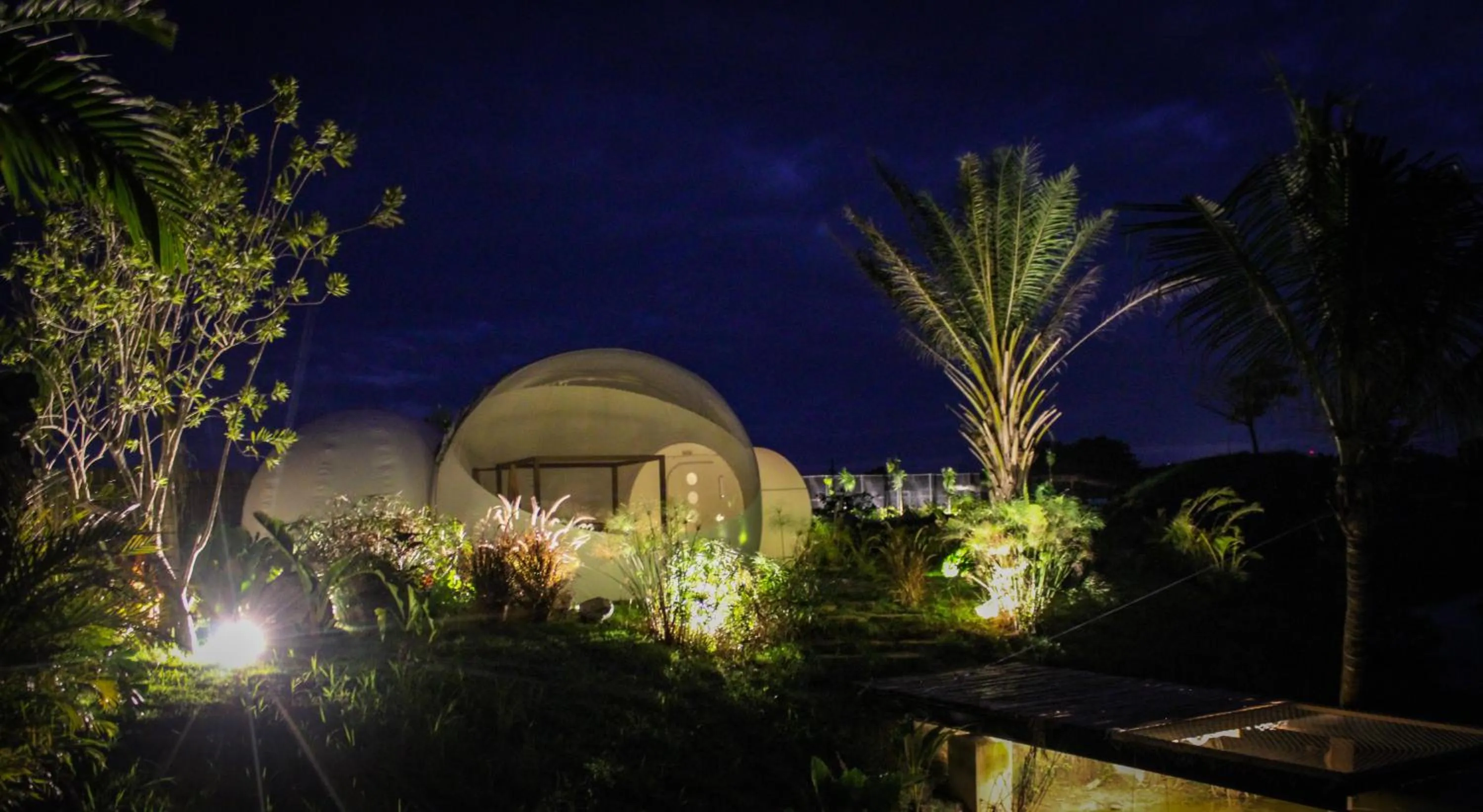 Bedroom in Green Land Bubble Glamping