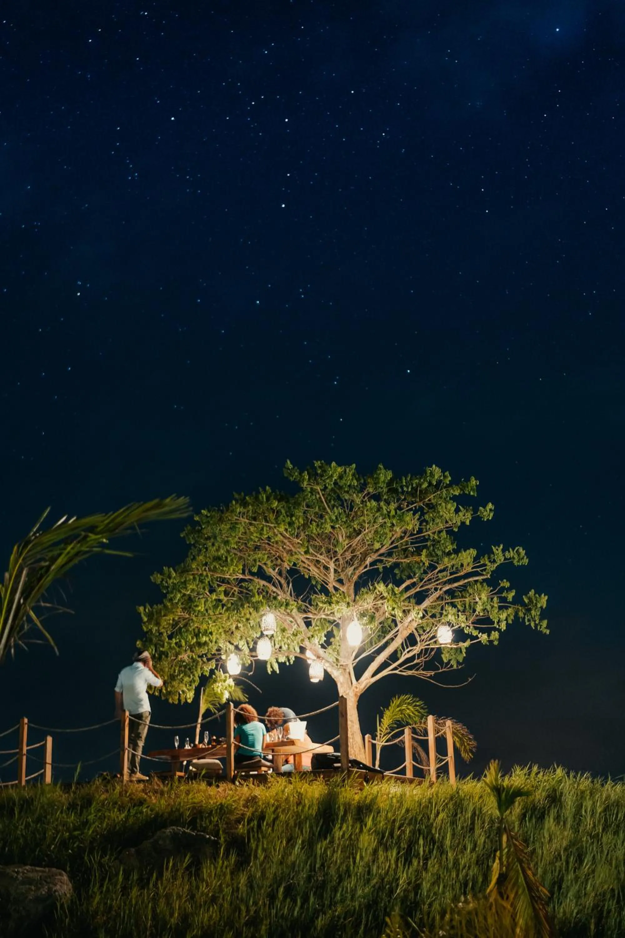 Night in Green Land Bubble Glamping