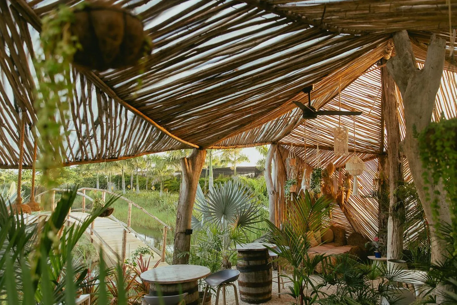 Garden in Green Land Bubble Glamping