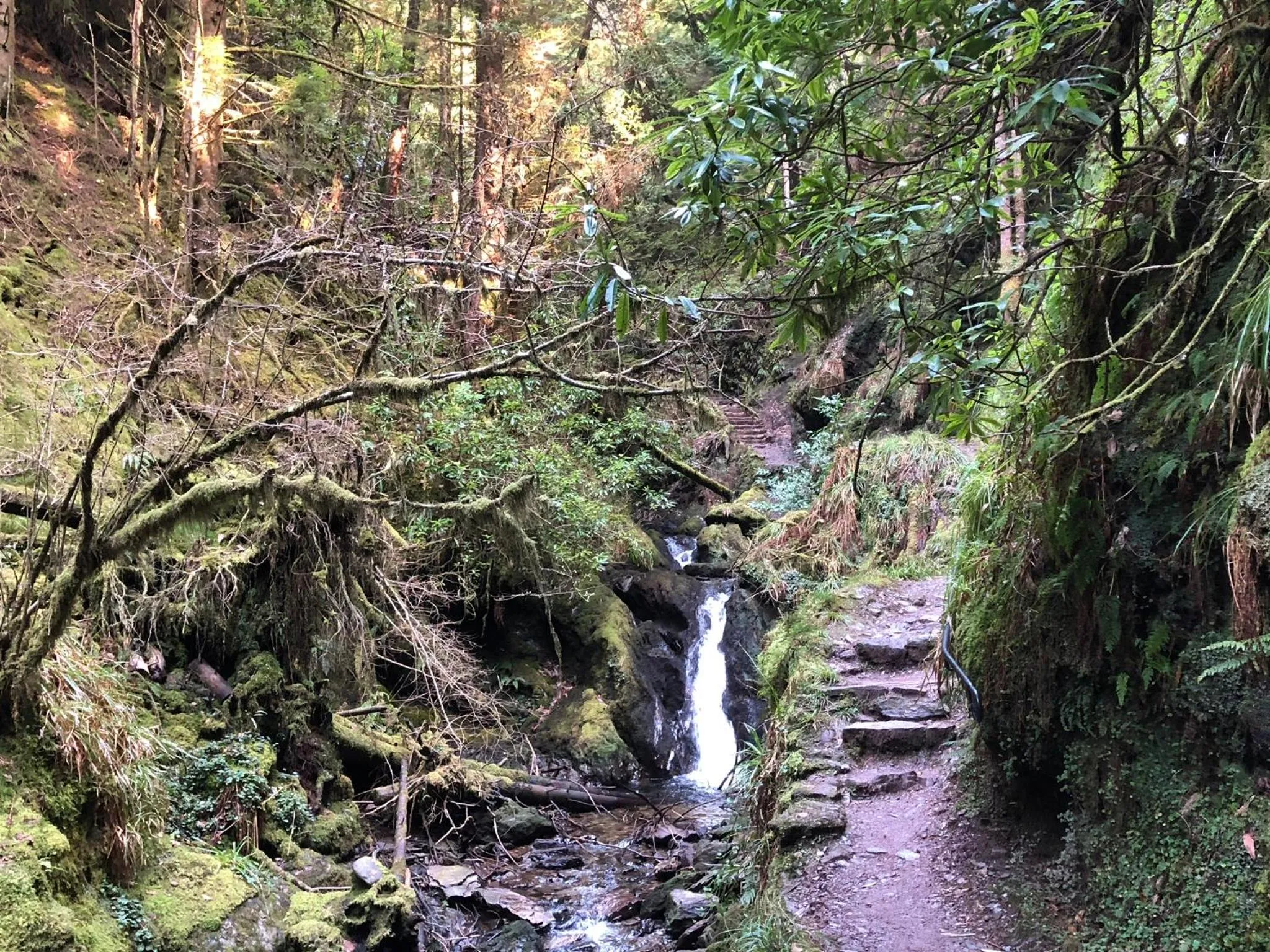 Nearby landmark in Rashfield Sheilings - Riverside Lodges, by Pucks Glen, Dunoon