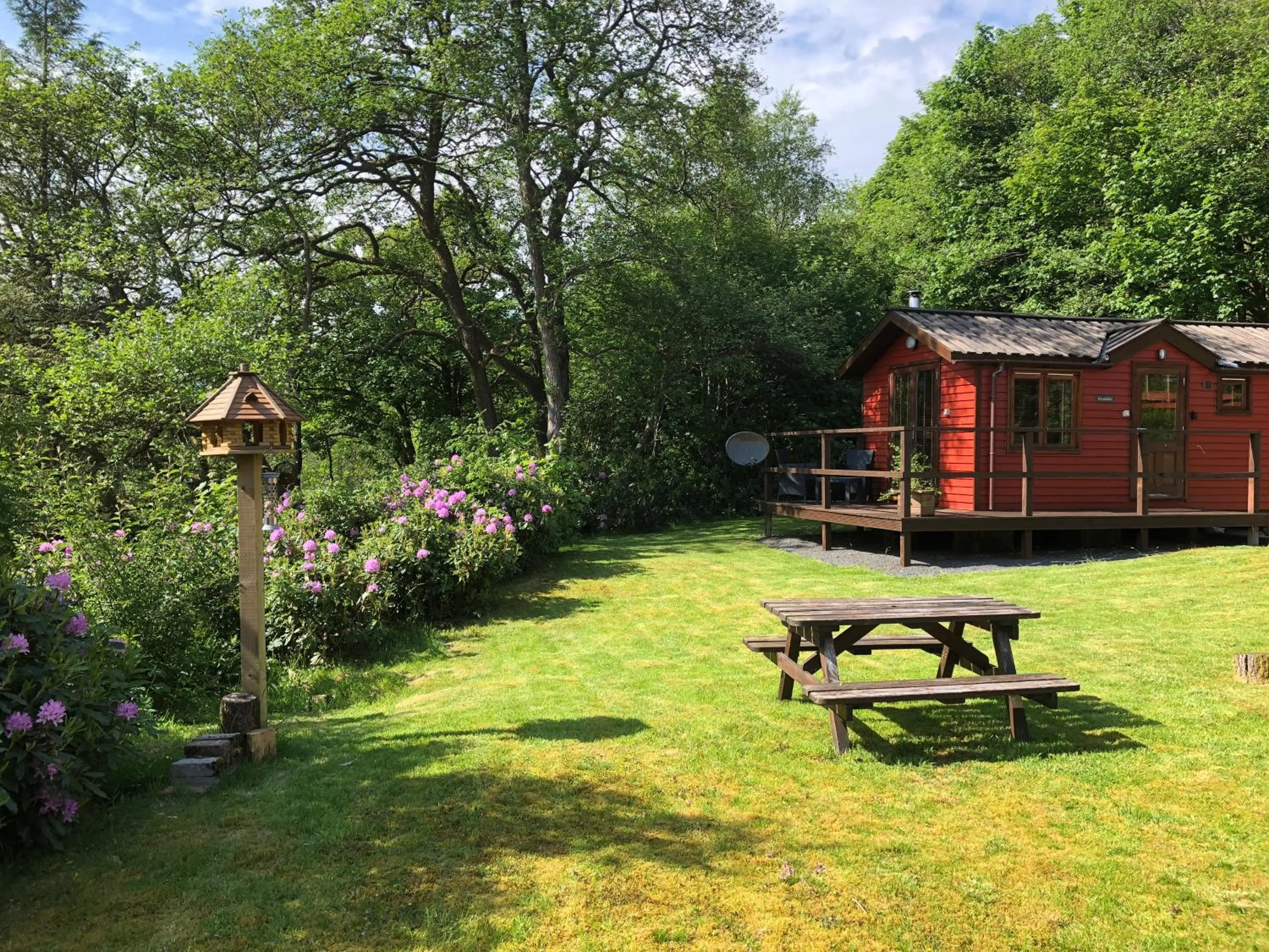 Natural landscape in Rashfield Sheilings - Riverside Lodges, by Pucks Glen, Dunoon