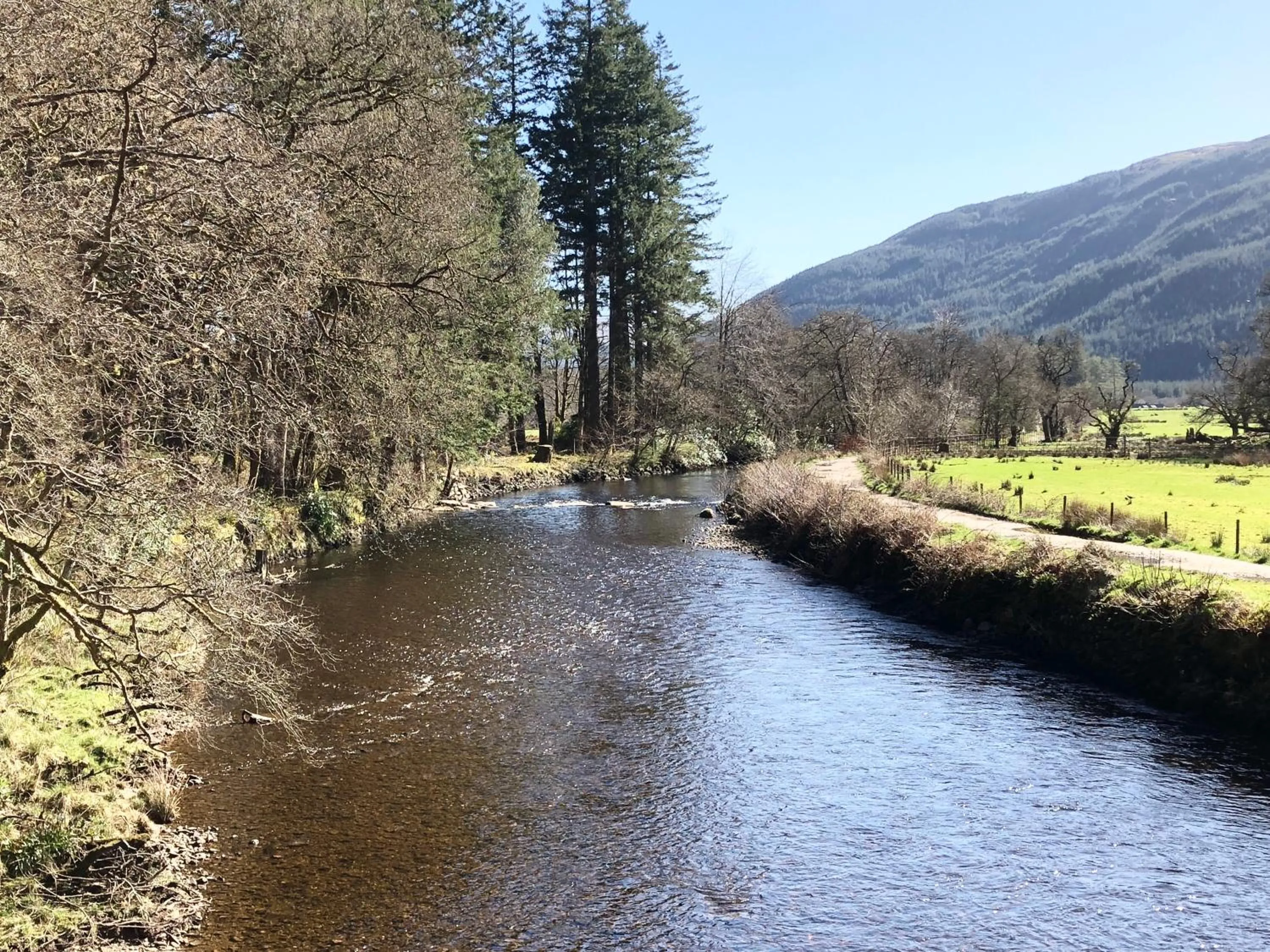 Natural landscape in Rashfield Sheilings - Riverside Lodges, by Pucks Glen, Dunoon