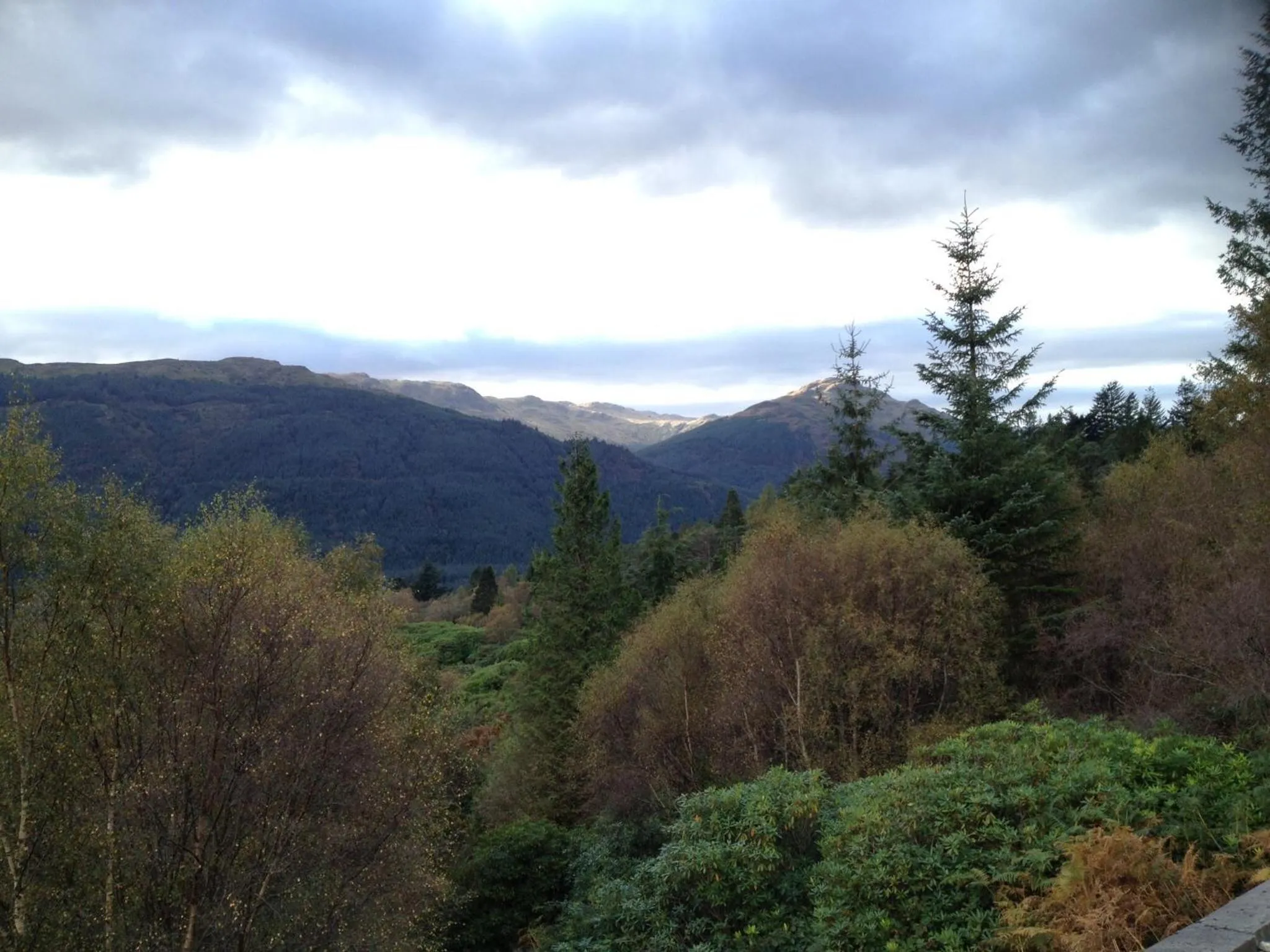 View (from property/room) in Rashfield Sheilings - Riverside Lodges, by Pucks Glen, Dunoon