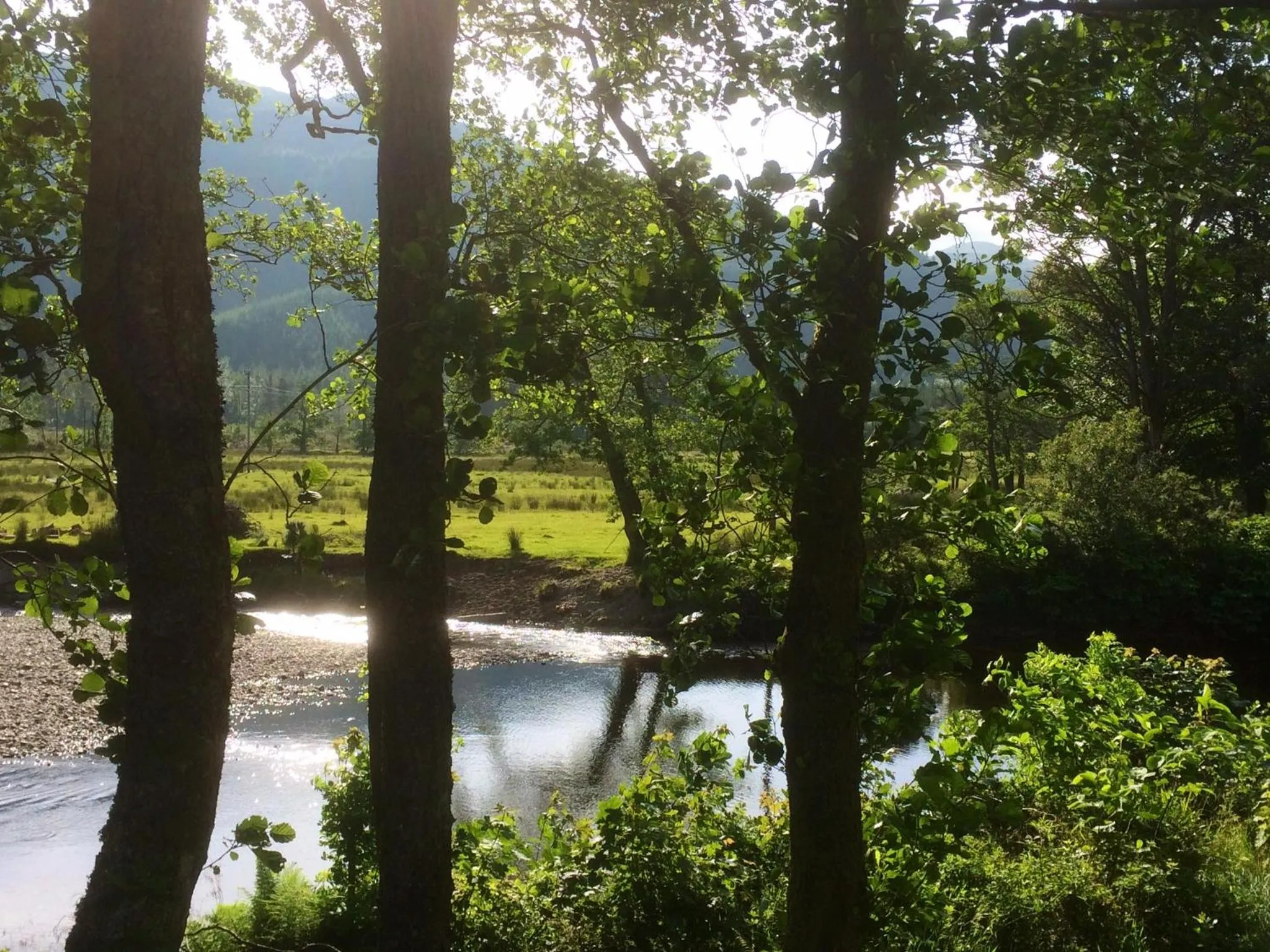 Natural landscape in Rashfield Sheilings - Riverside Lodges, by Pucks Glen, Dunoon