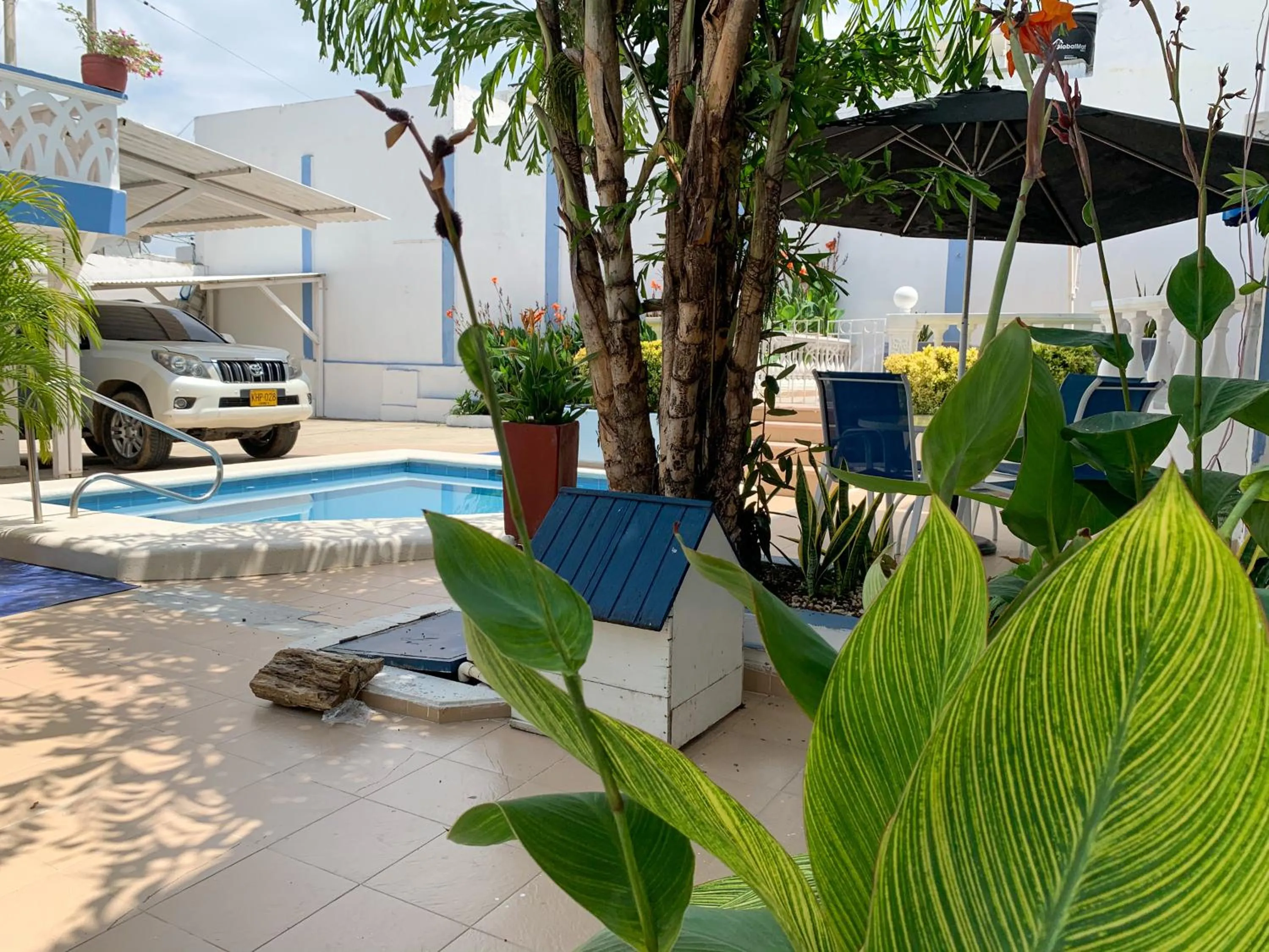 Pool view in Hotel Corozal Plaza