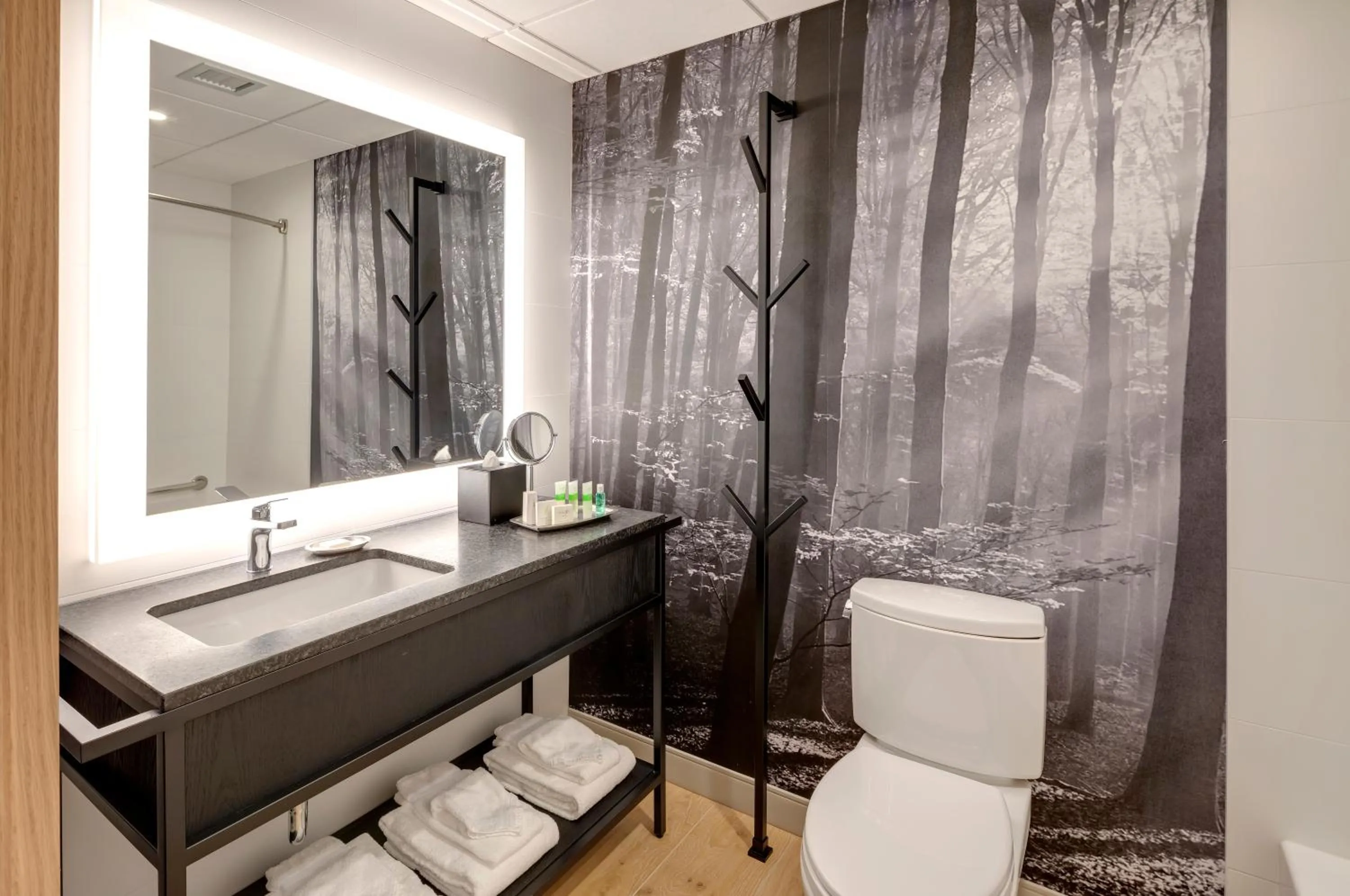 Peaks Hotel and Suites