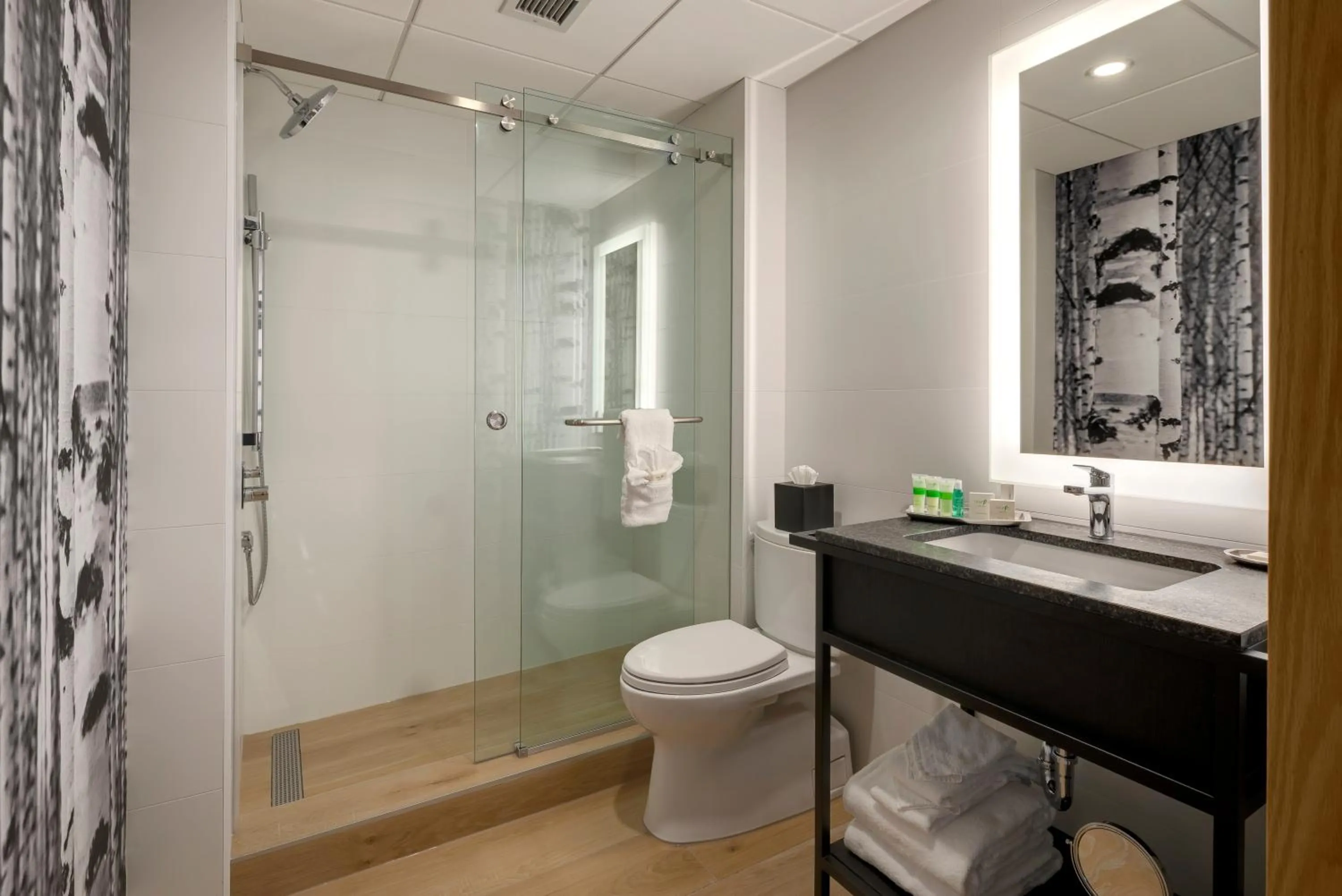 Peaks Hotel and Suites