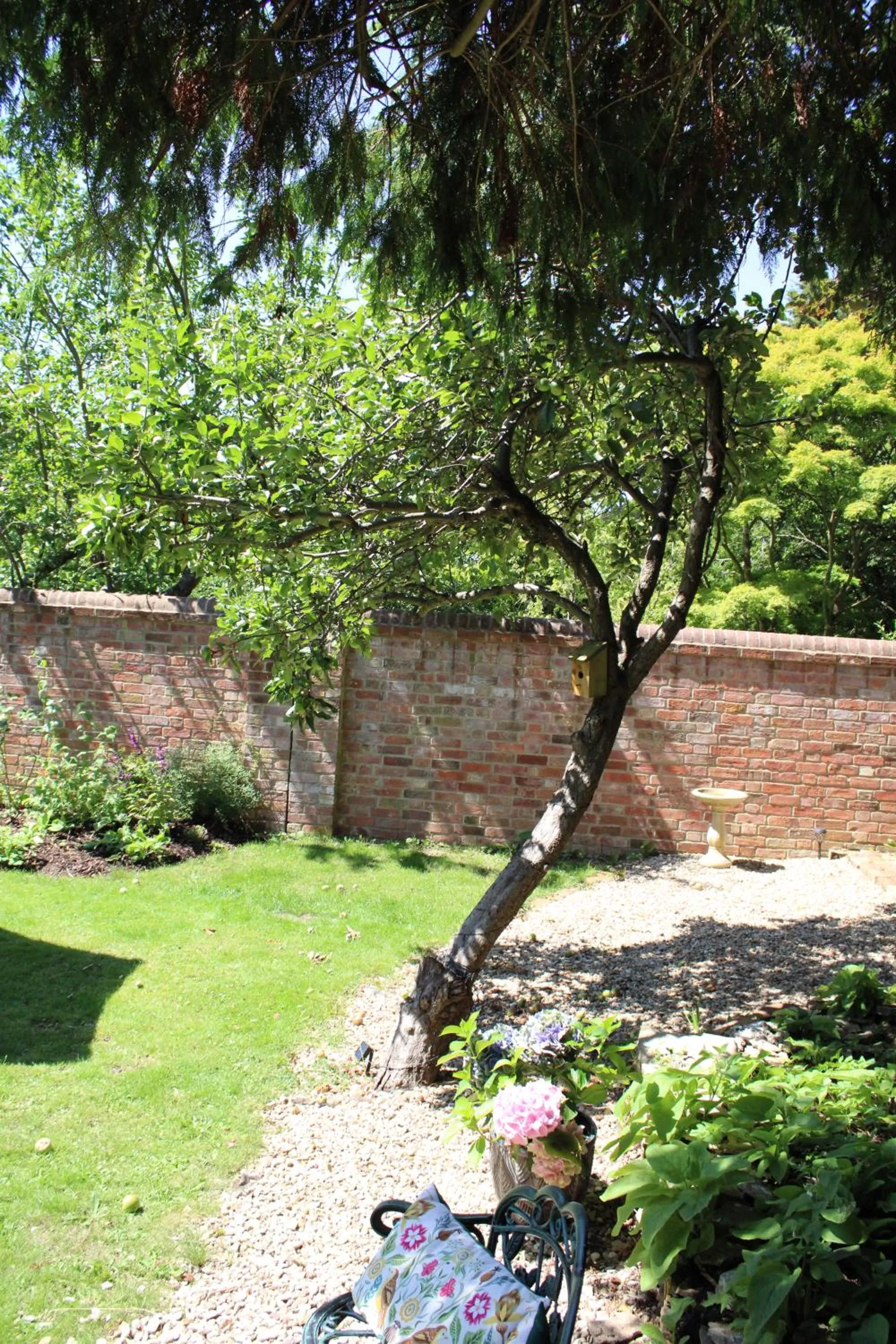 Garden in St Margaret's Hotel