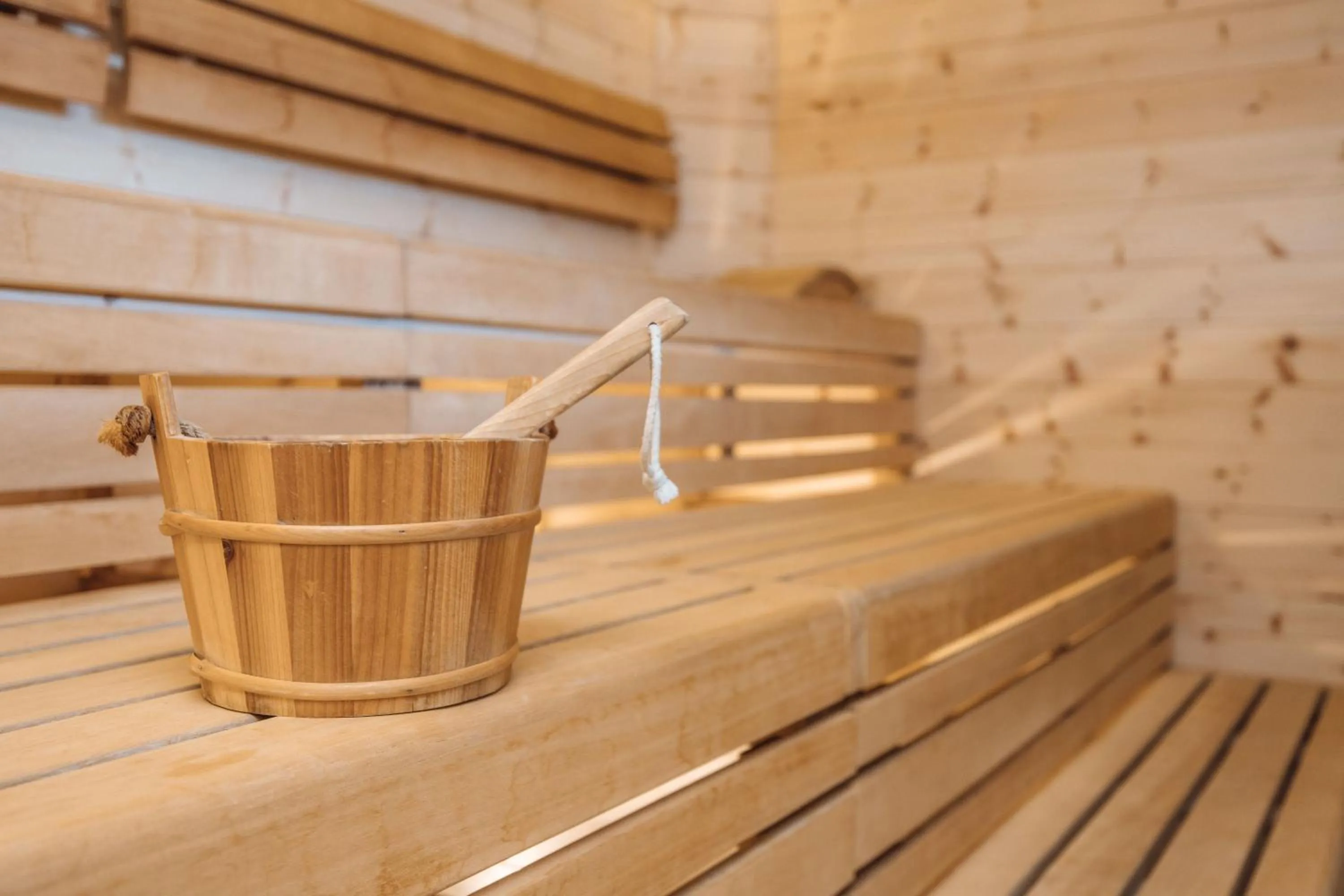 Sauna in Alpen Adria Hotel & Spa