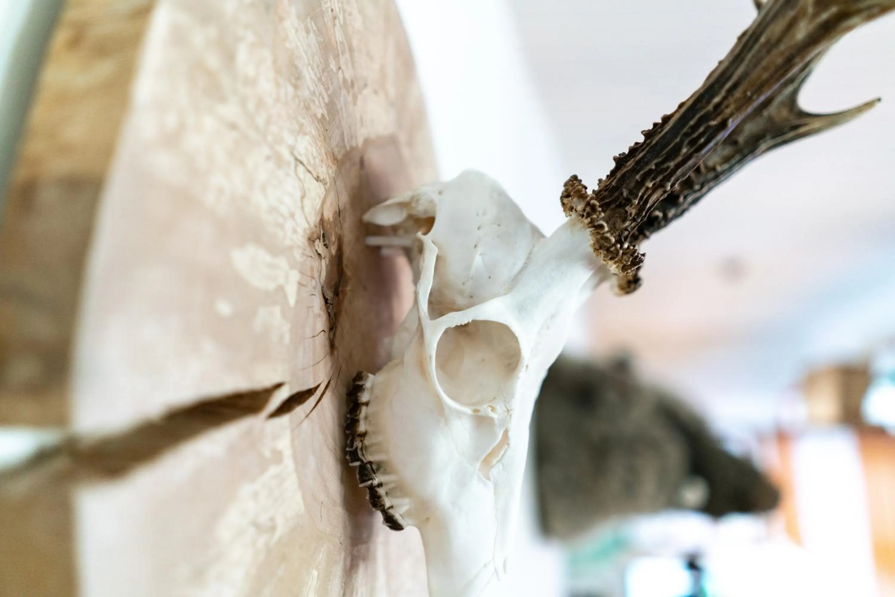 Other in BinderS Budget City-Mountain Hotel